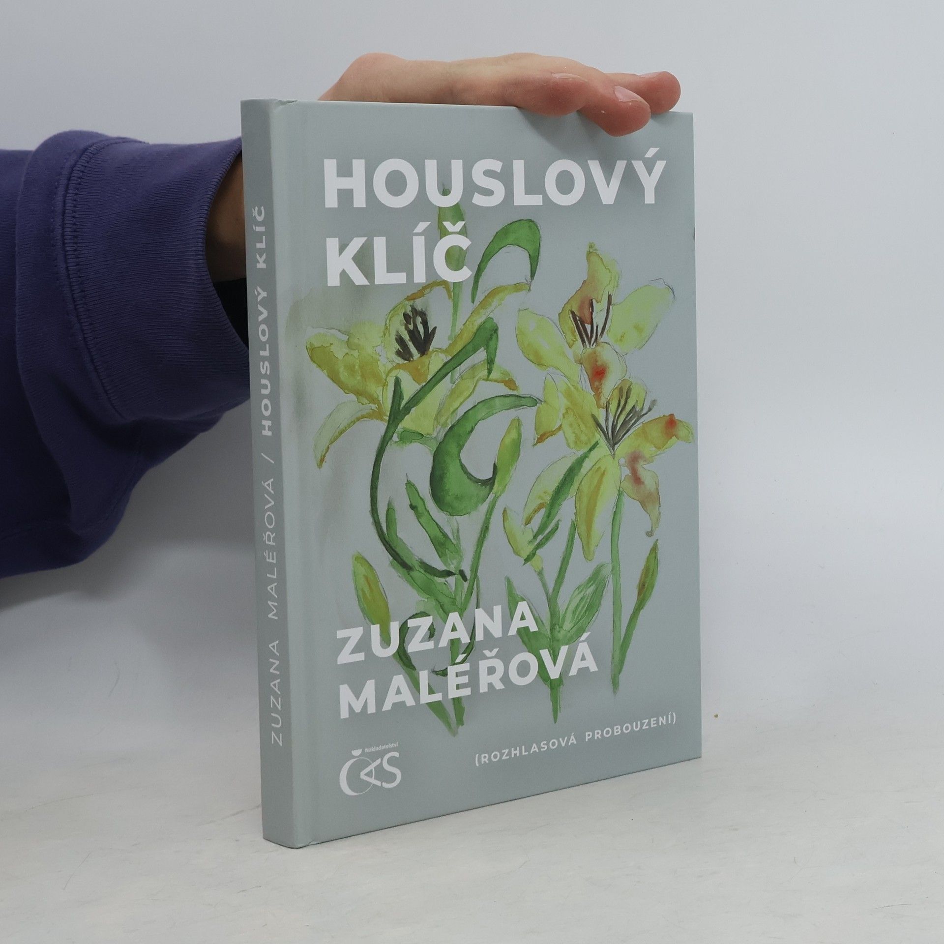 Zuzana Maléřová Houslový klíč