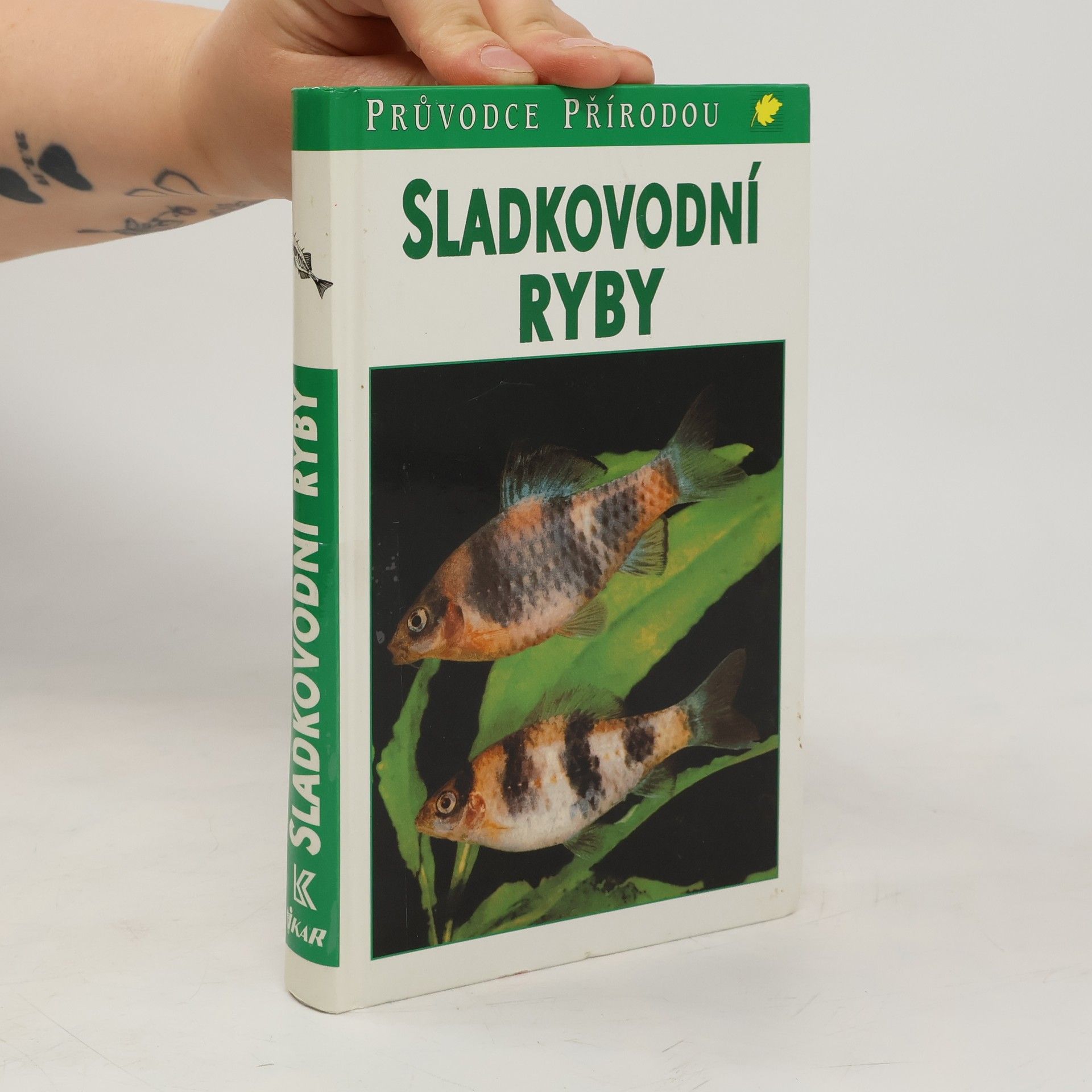 Autorenkollektiv Sladkovodní ryby v evropských vodách