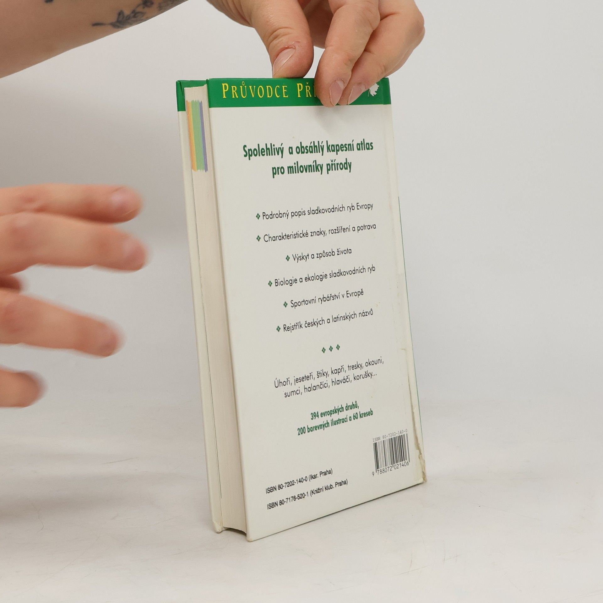 Autorenkollektiv Sladkovodní ryby v evropských vodách
