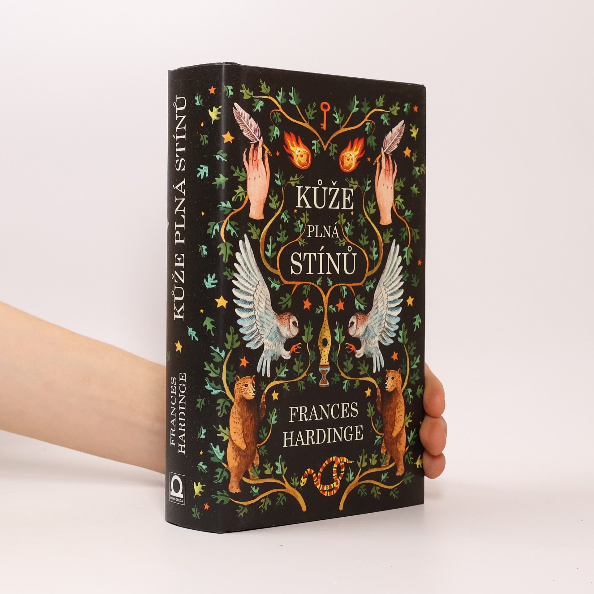 Frances Hardinge Kůže plná stínů