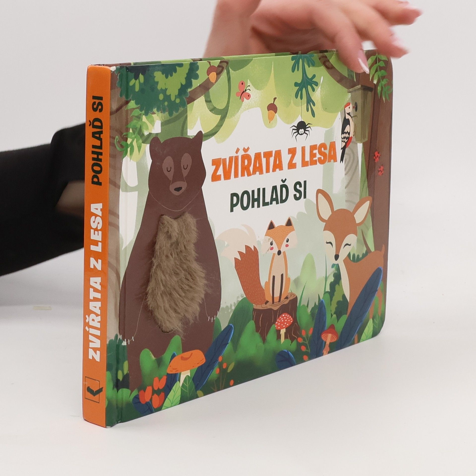 Zvířata z lesa: pohlaď si