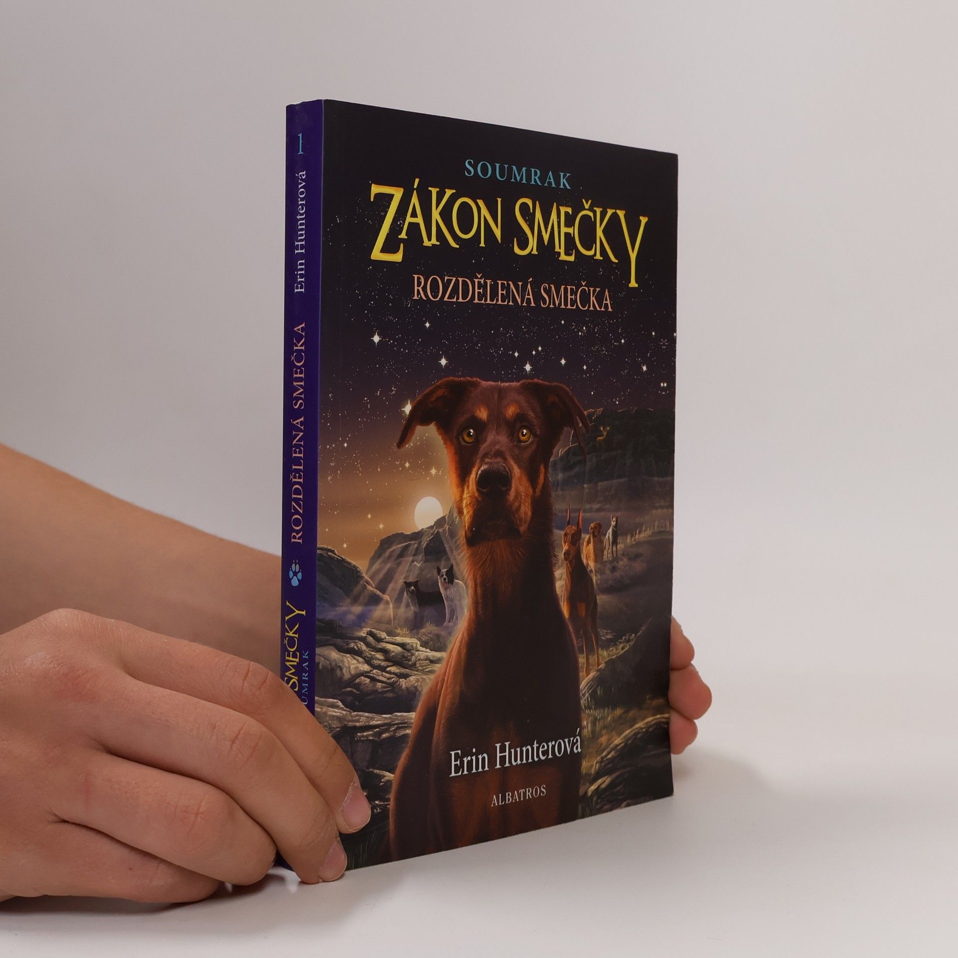 Erin Hunter Rozdělená smečka