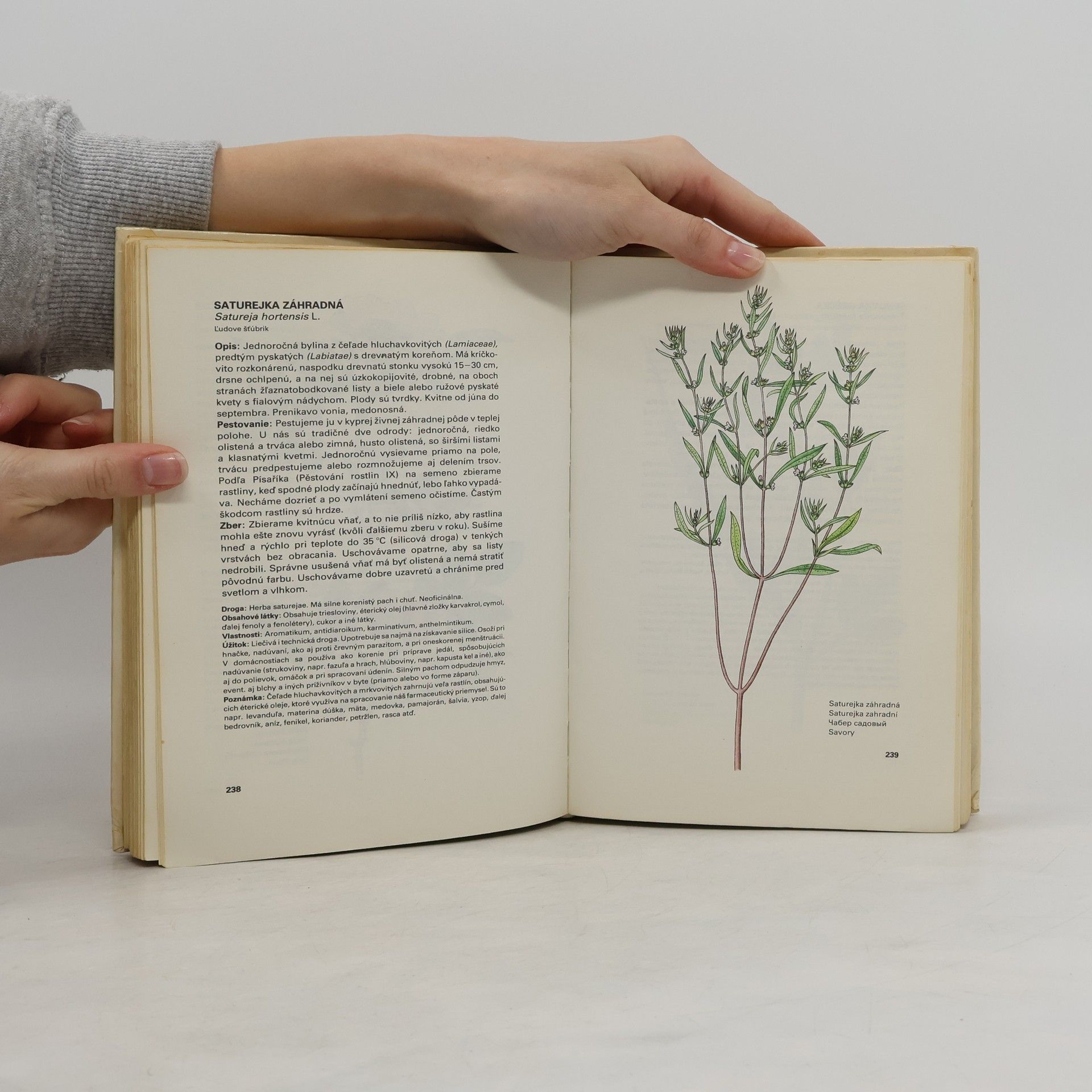 Ludmila Thurzová Malý atlas liečivých rostlín
