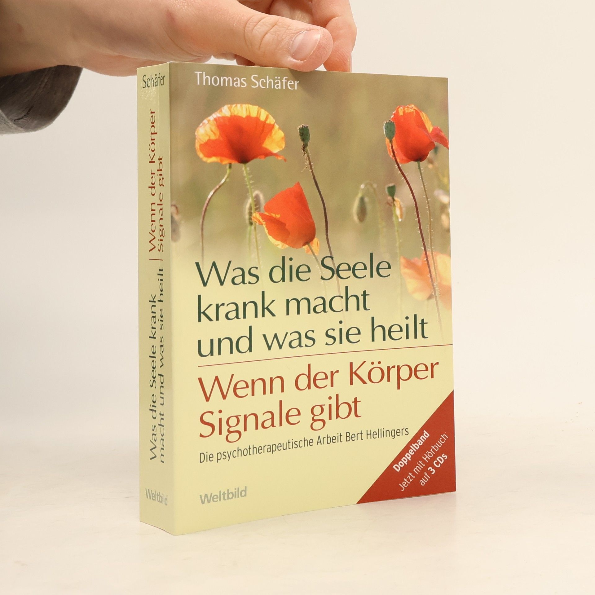 Thomas Schäfer Was die Seele krank macht und was sie heilt