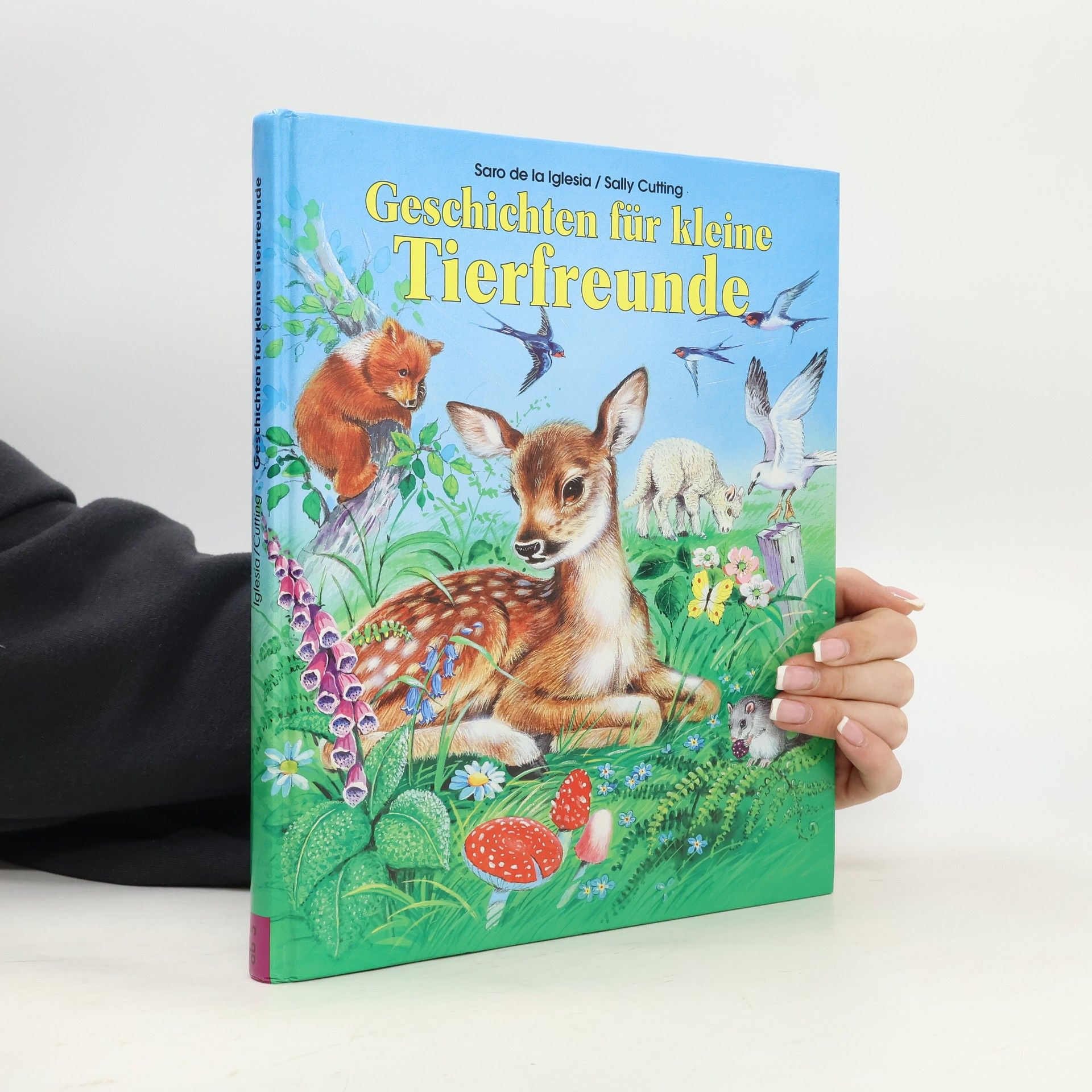 Saro de la Iglesia Geschichten für kleine Tierfreunde