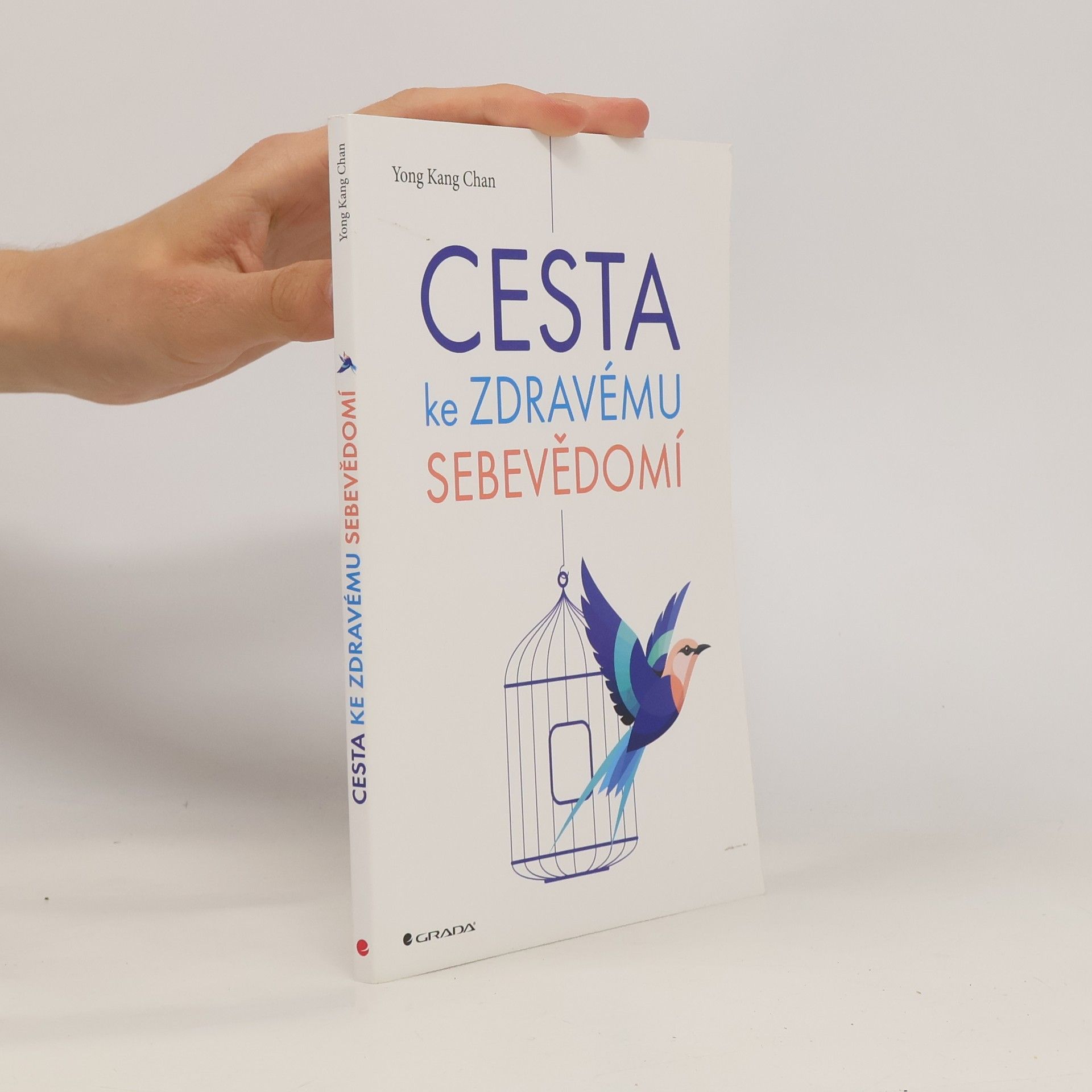 Yong Kang Chan Cesta ke zdravému sebevědomí