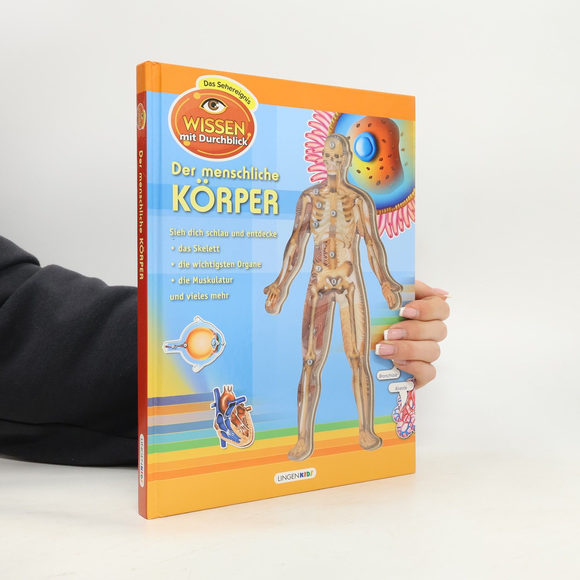 Various authors Der menschliche Körper