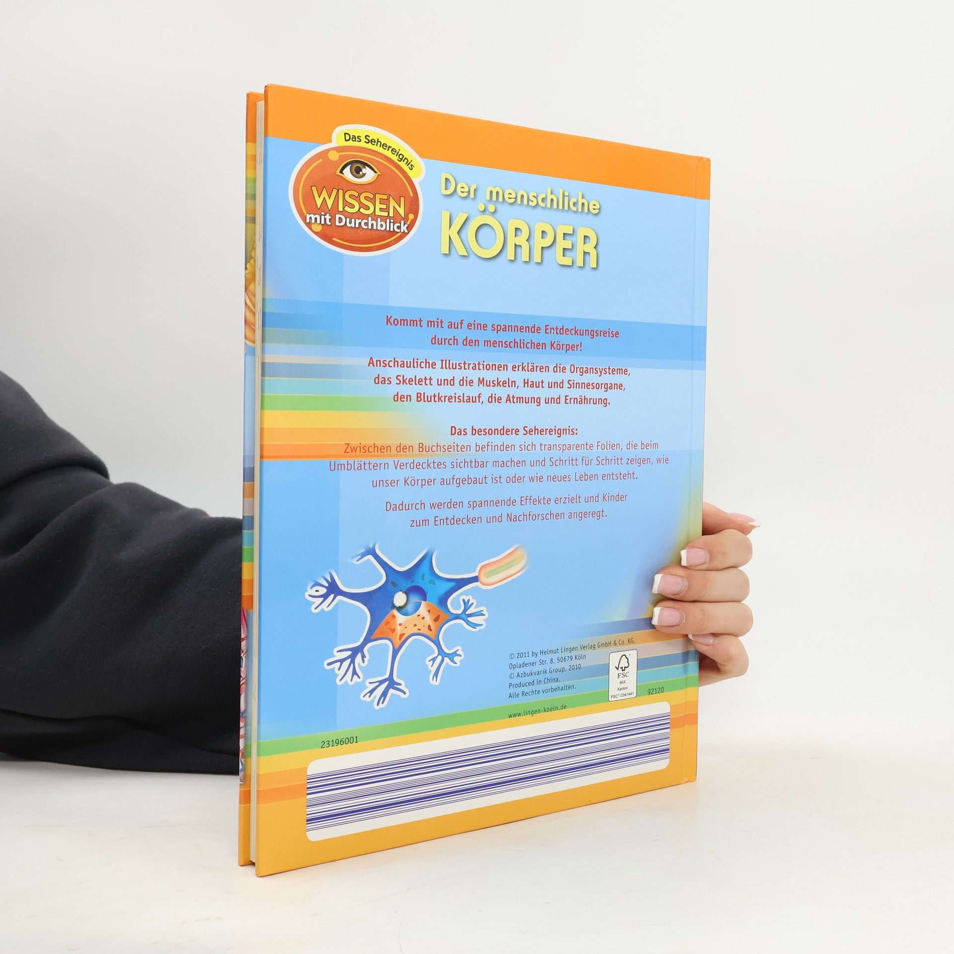 Autorenkollektiv Der menschliche Körper