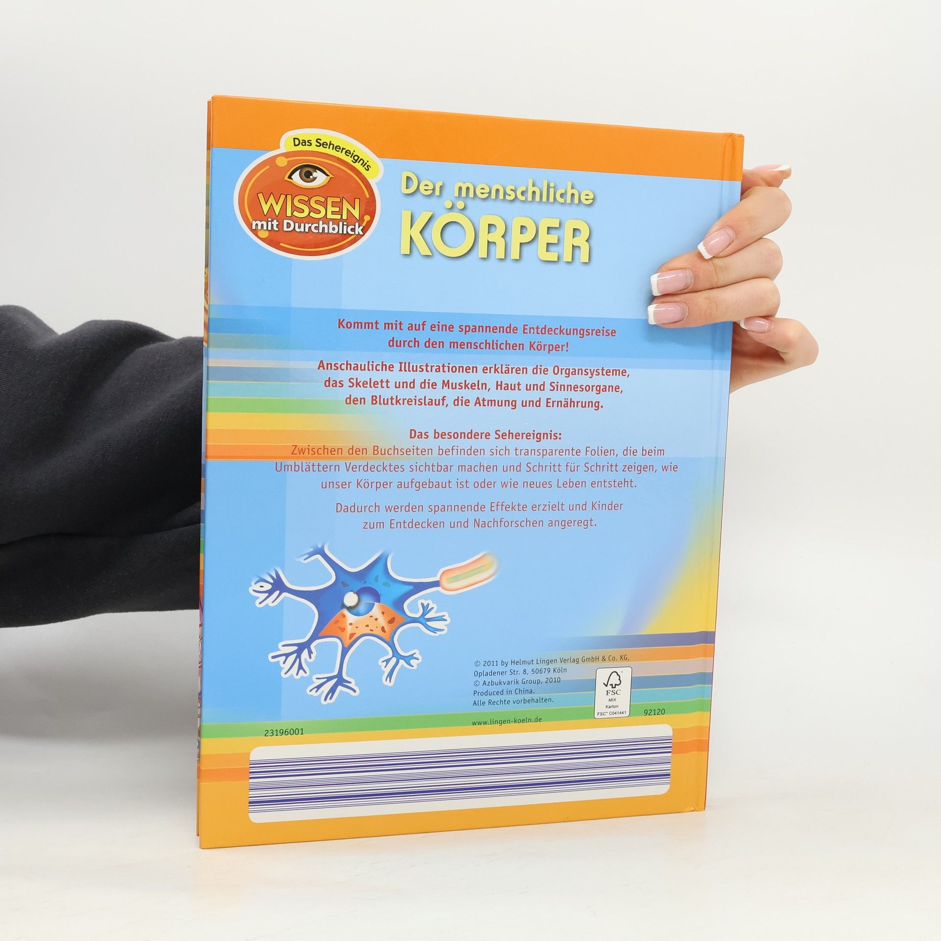 Autorenkollektiv Der menschliche Körper