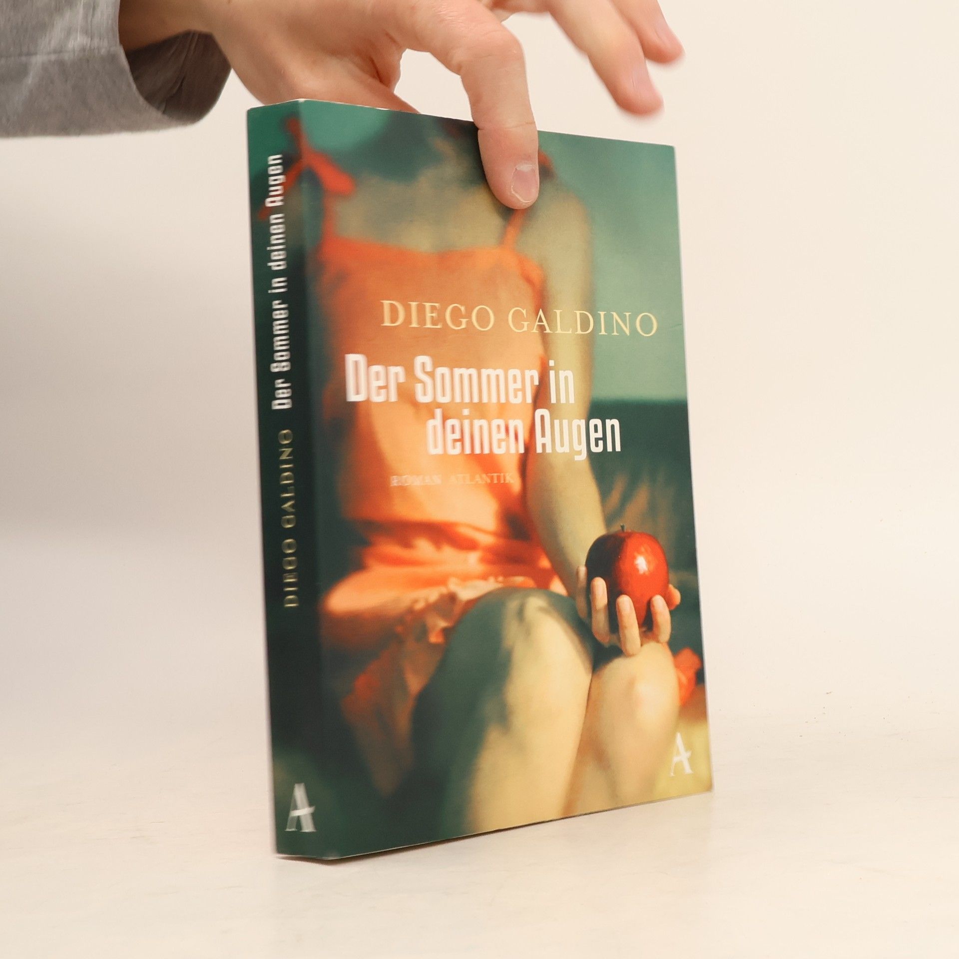 Diego Galdino Der Sommer in deinen Augen