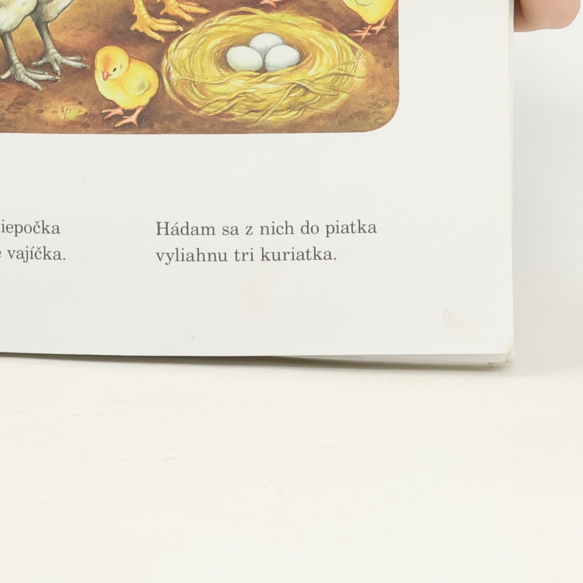 Ivet Dalmády Kamaráti zvieratká