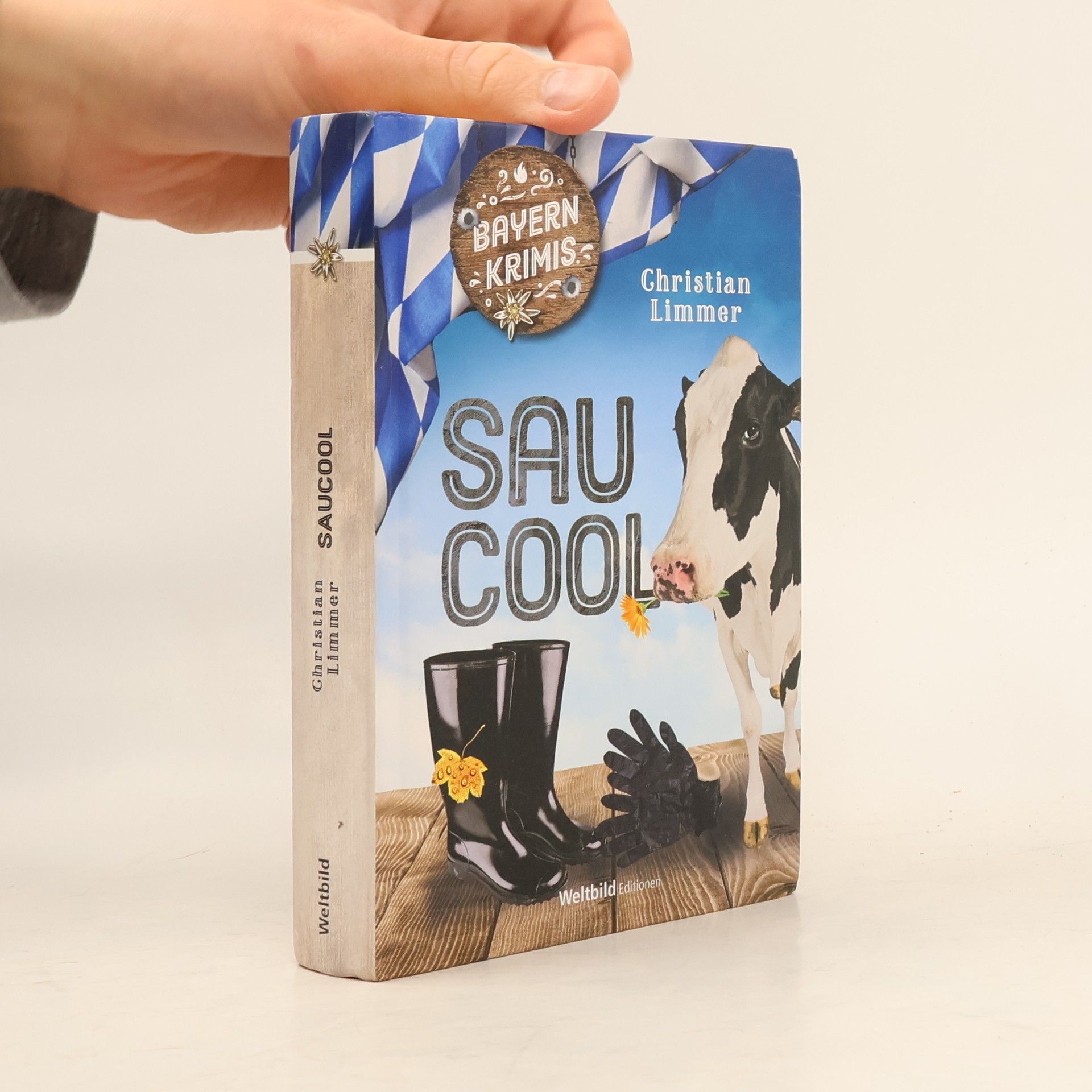 Christian Limmer Saucool