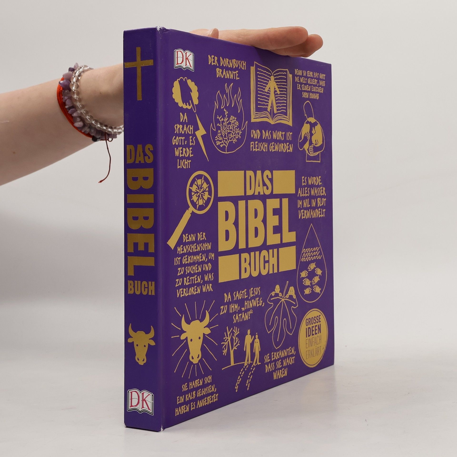 Tammi J. Schneider Big Ideas. Das Bibel-Buch. Große Ideen einfach erklärt