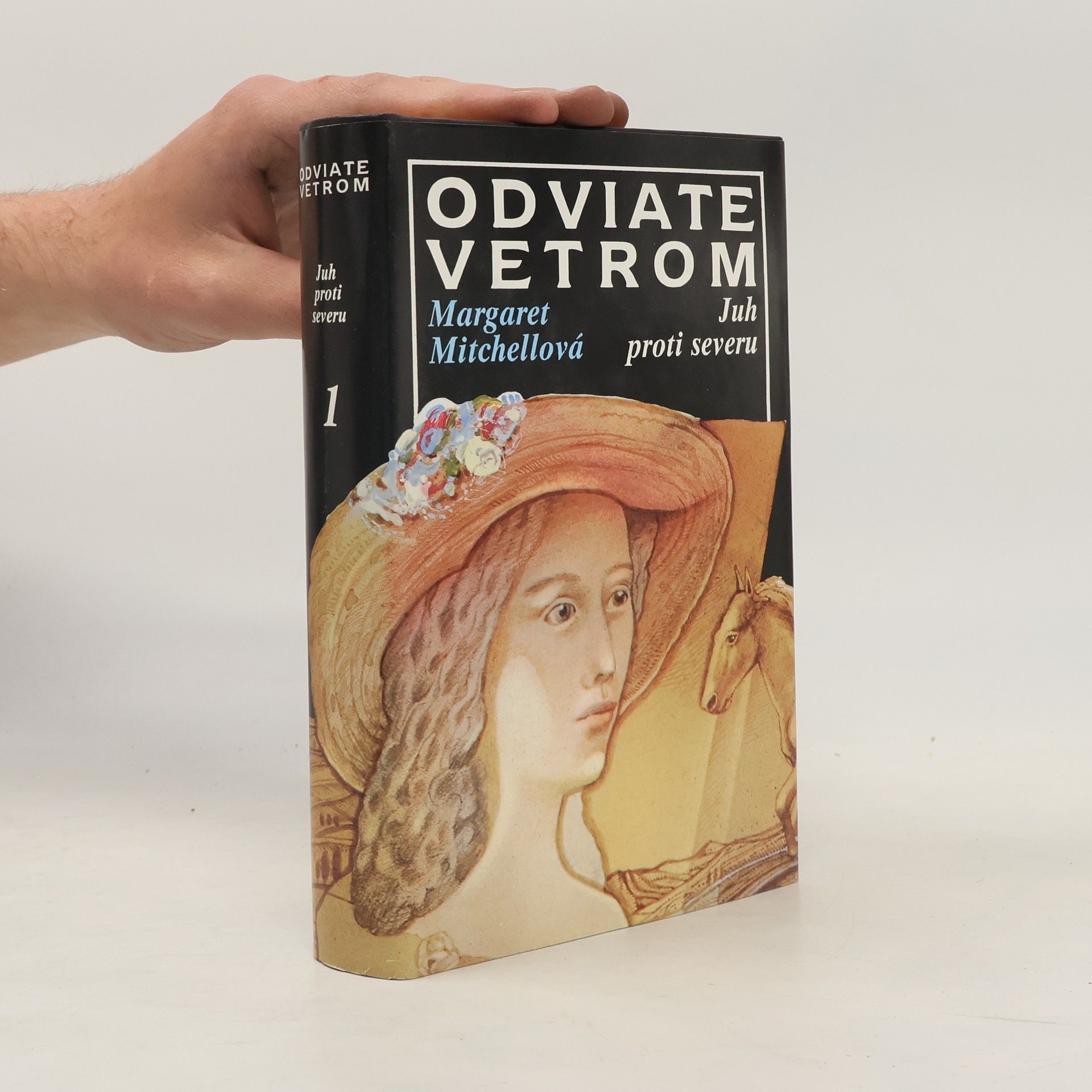 Margaret Mitchell Odviate vetrom 1. Juh proti severu