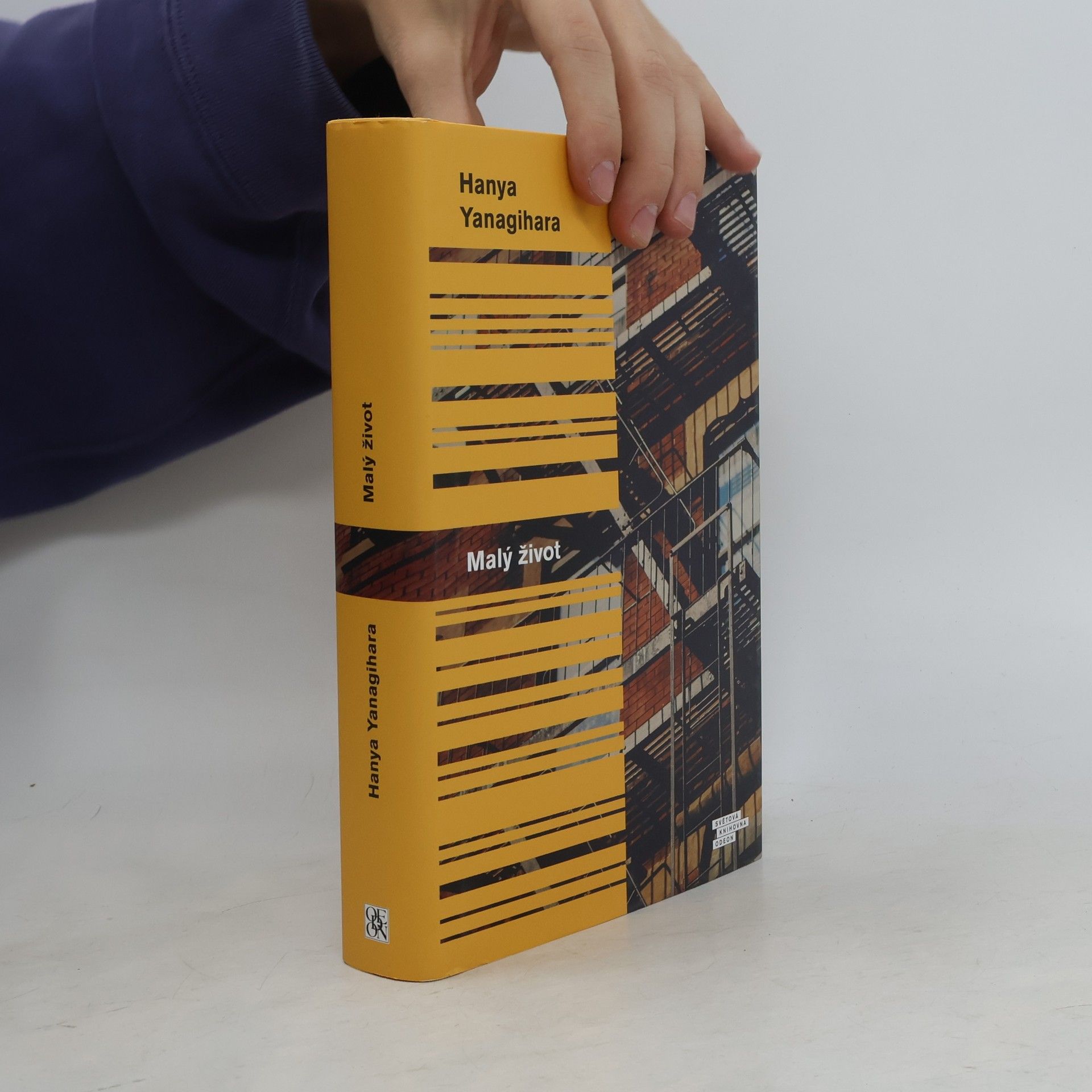 Hanya Yanagihara Malý život
