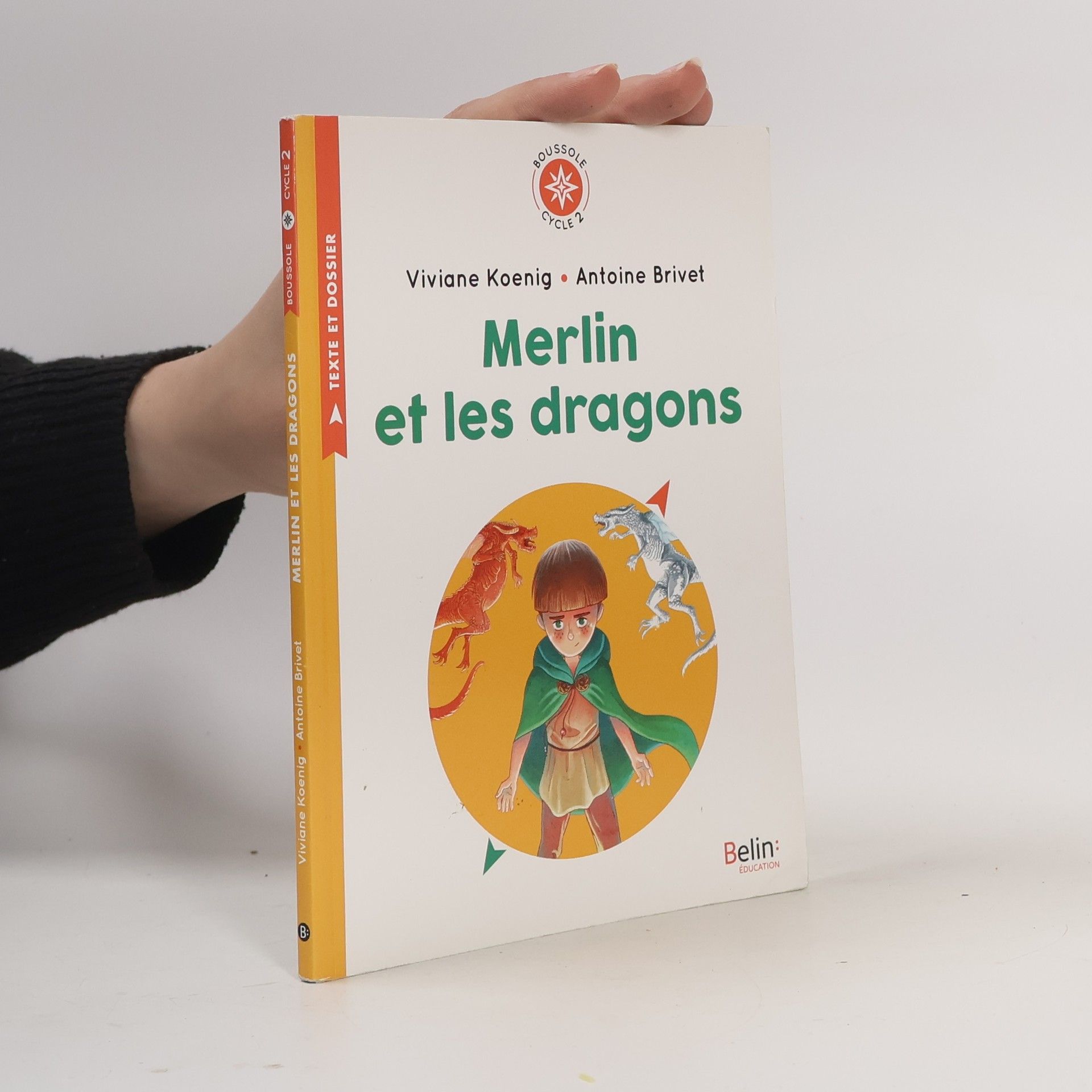 Antoine Brivet Merlin et les dragons