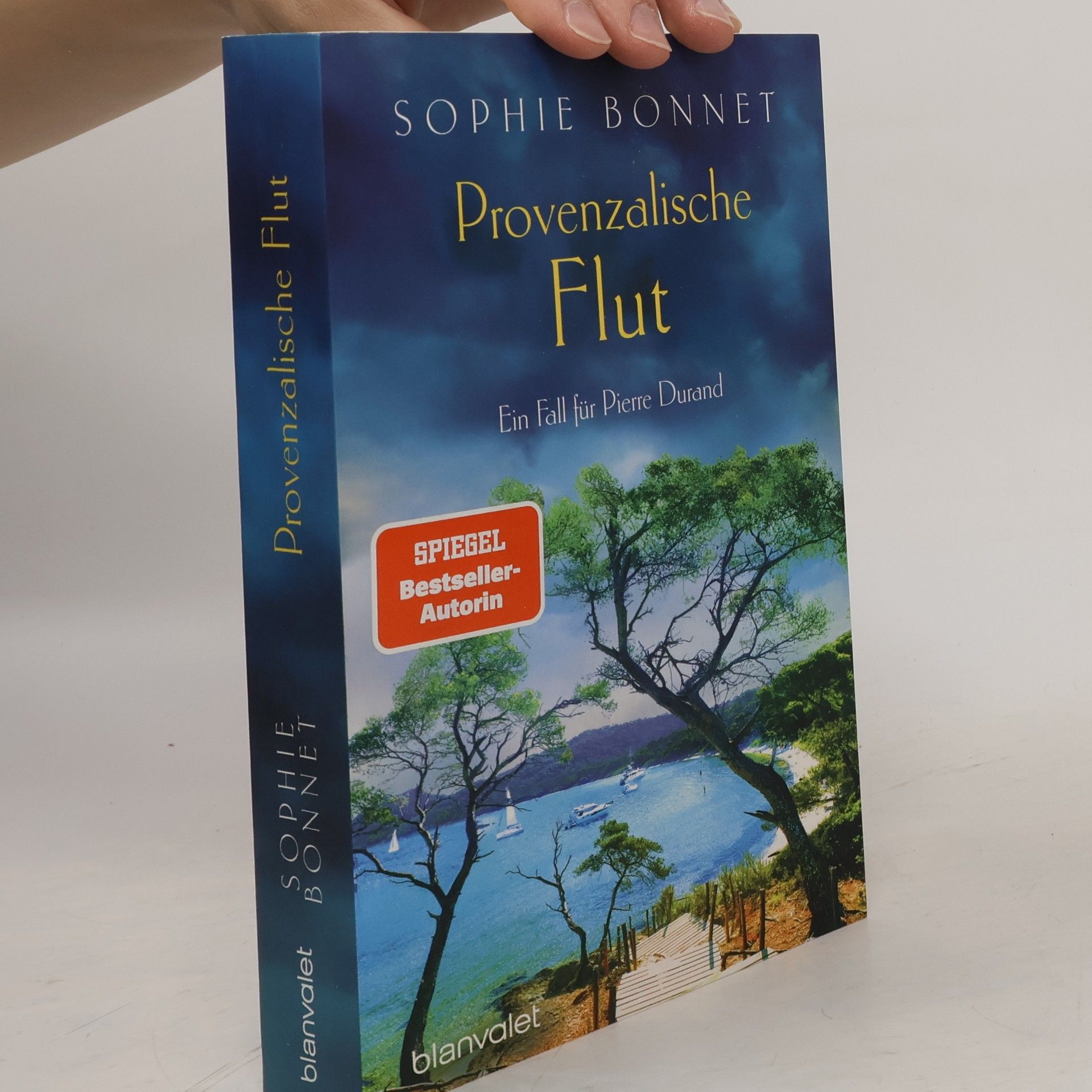 Sophie Bonnet Provenzalische Flut