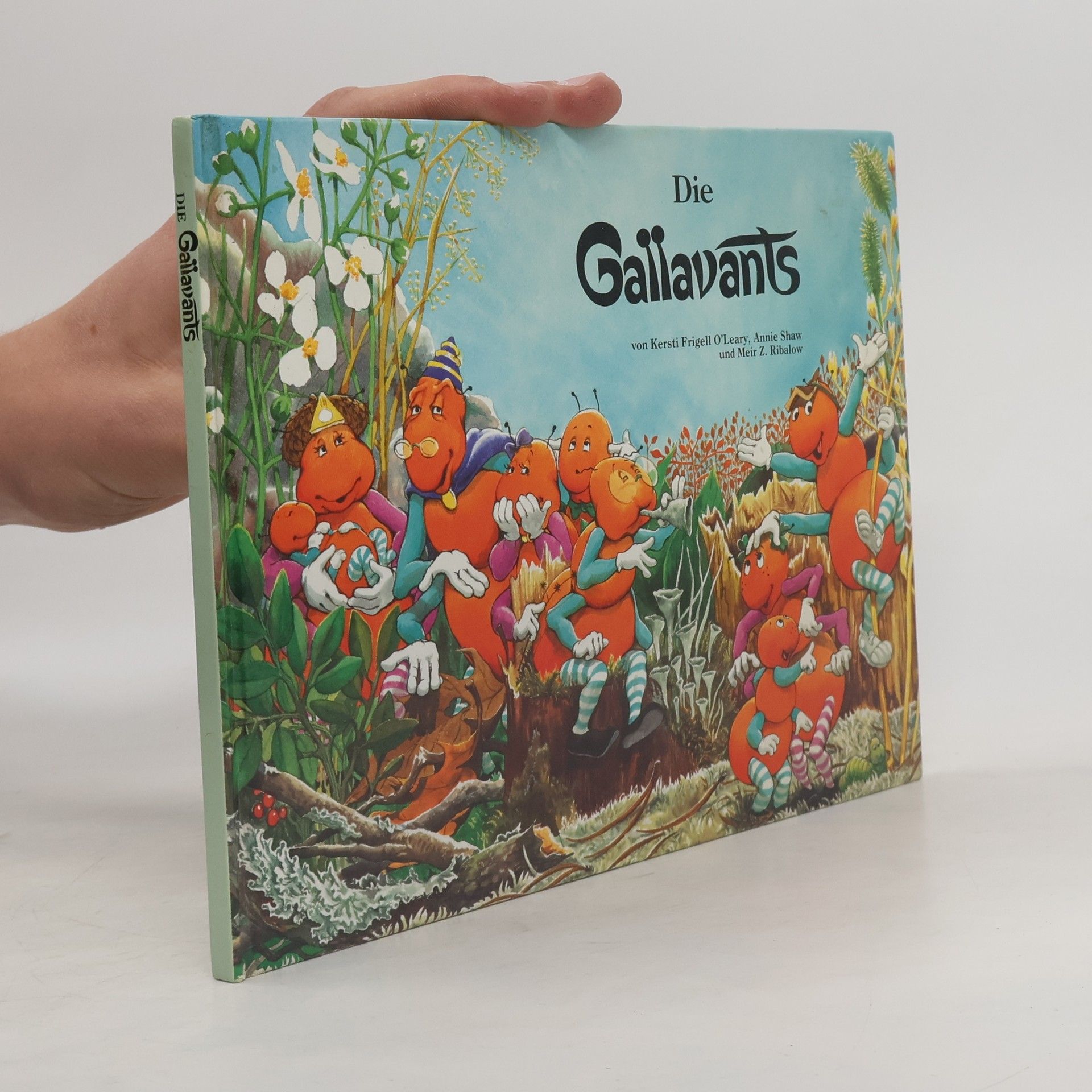 Autorenkollektiv Die Gallavants, das Buch der Pilze
