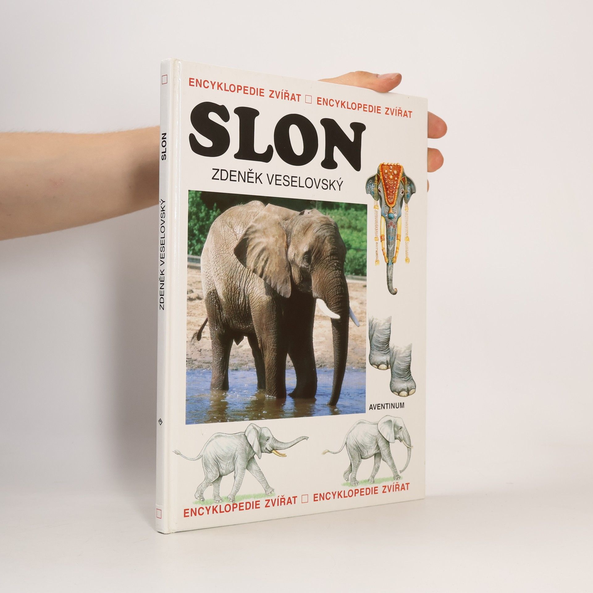Zdeněk Veselovský Slon
