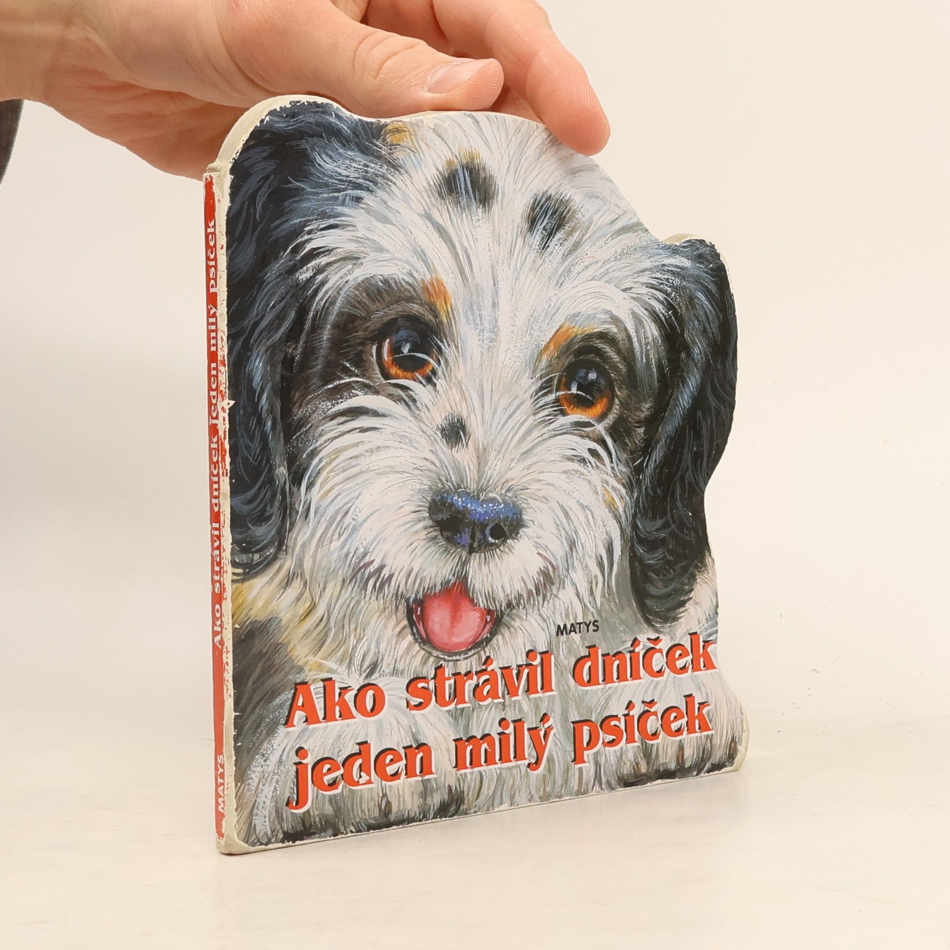 Ako strávil dníček jeden milý psíček