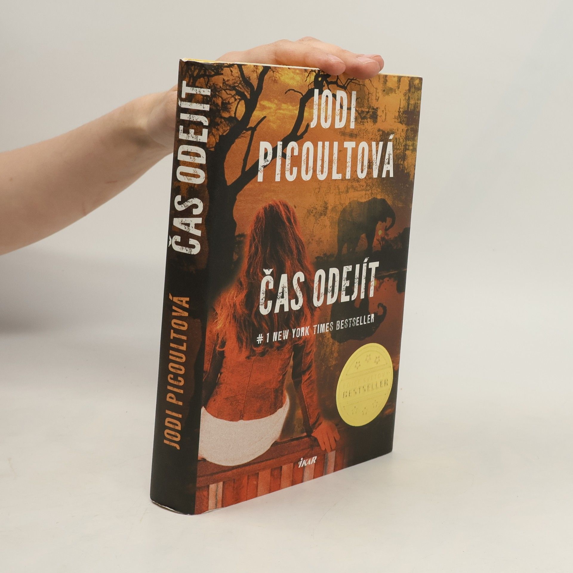 Jodi Picoult Čas odejít