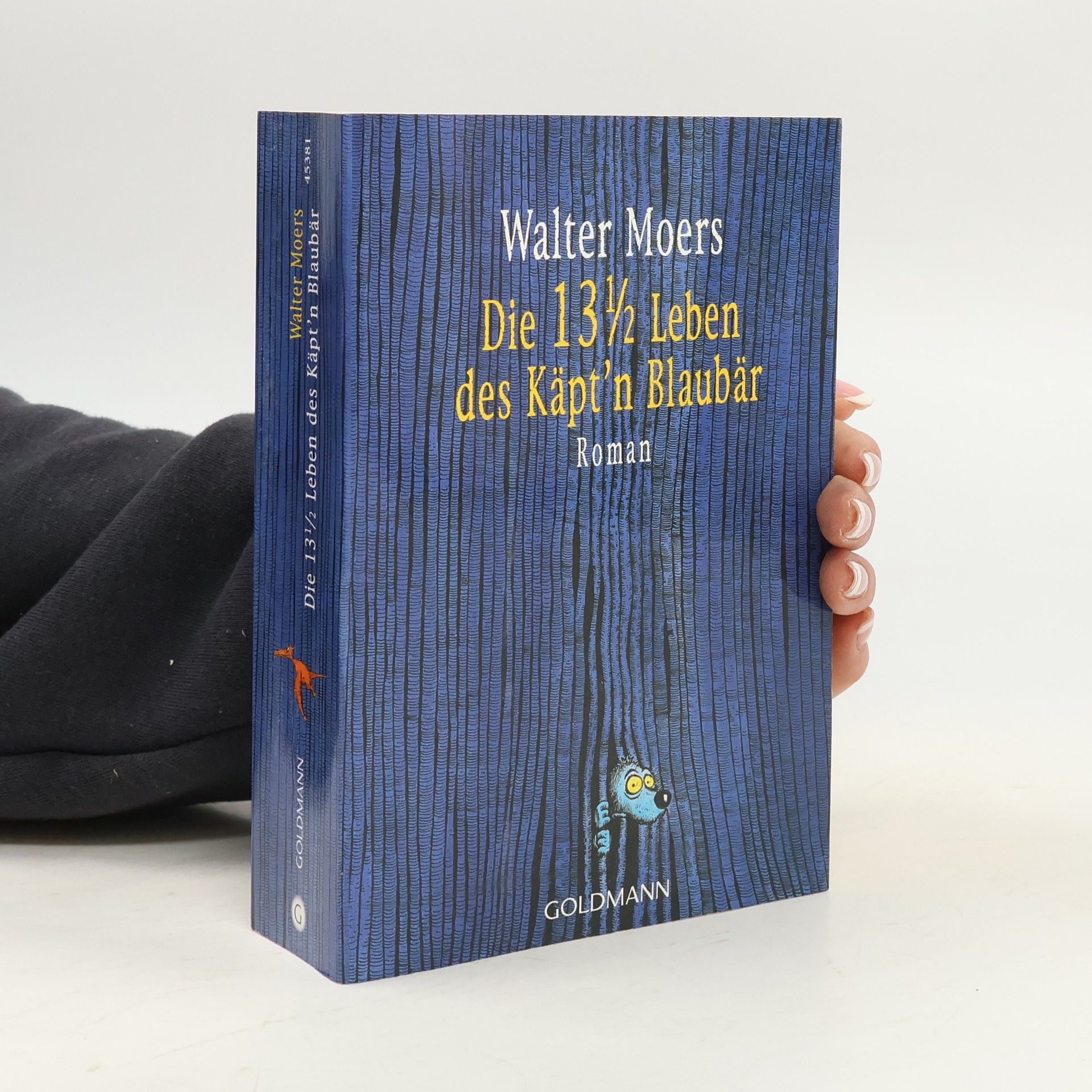 Walter Moers Die 13 1/2 Leben des Käpt'n Blaubär