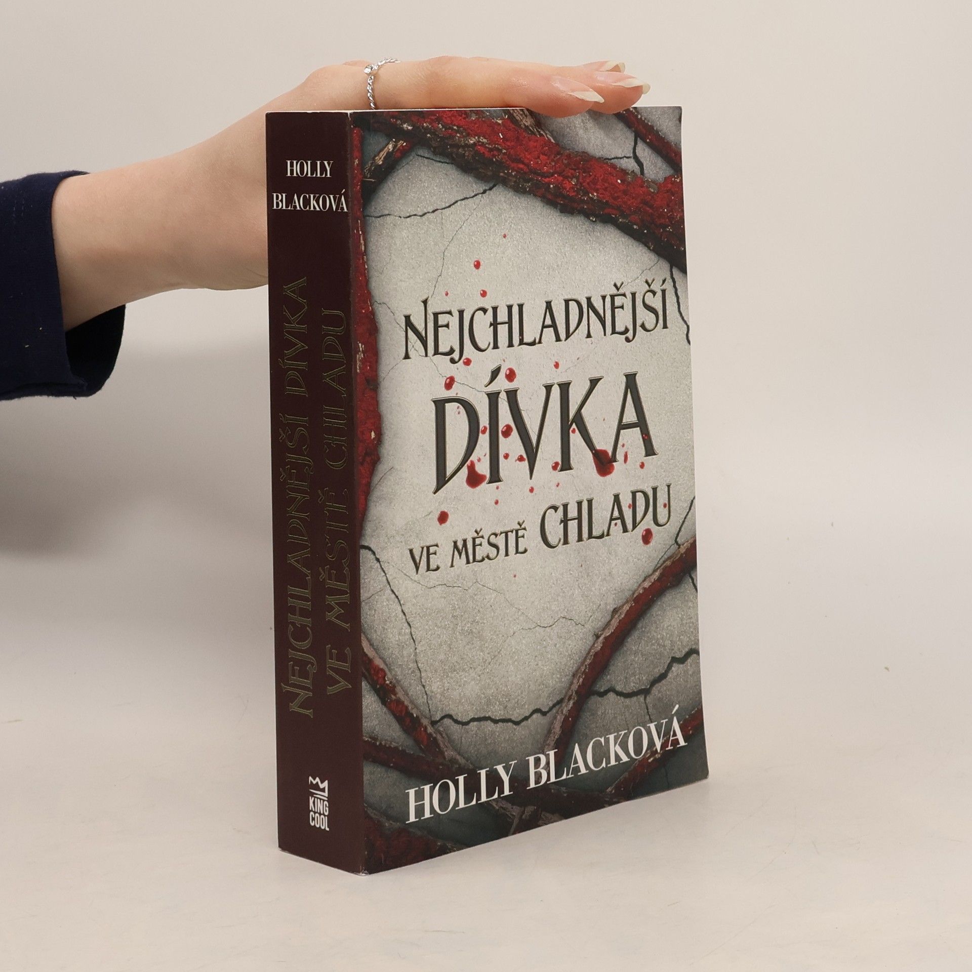 Holly Black Nejchladnější dívka ve městě chladu