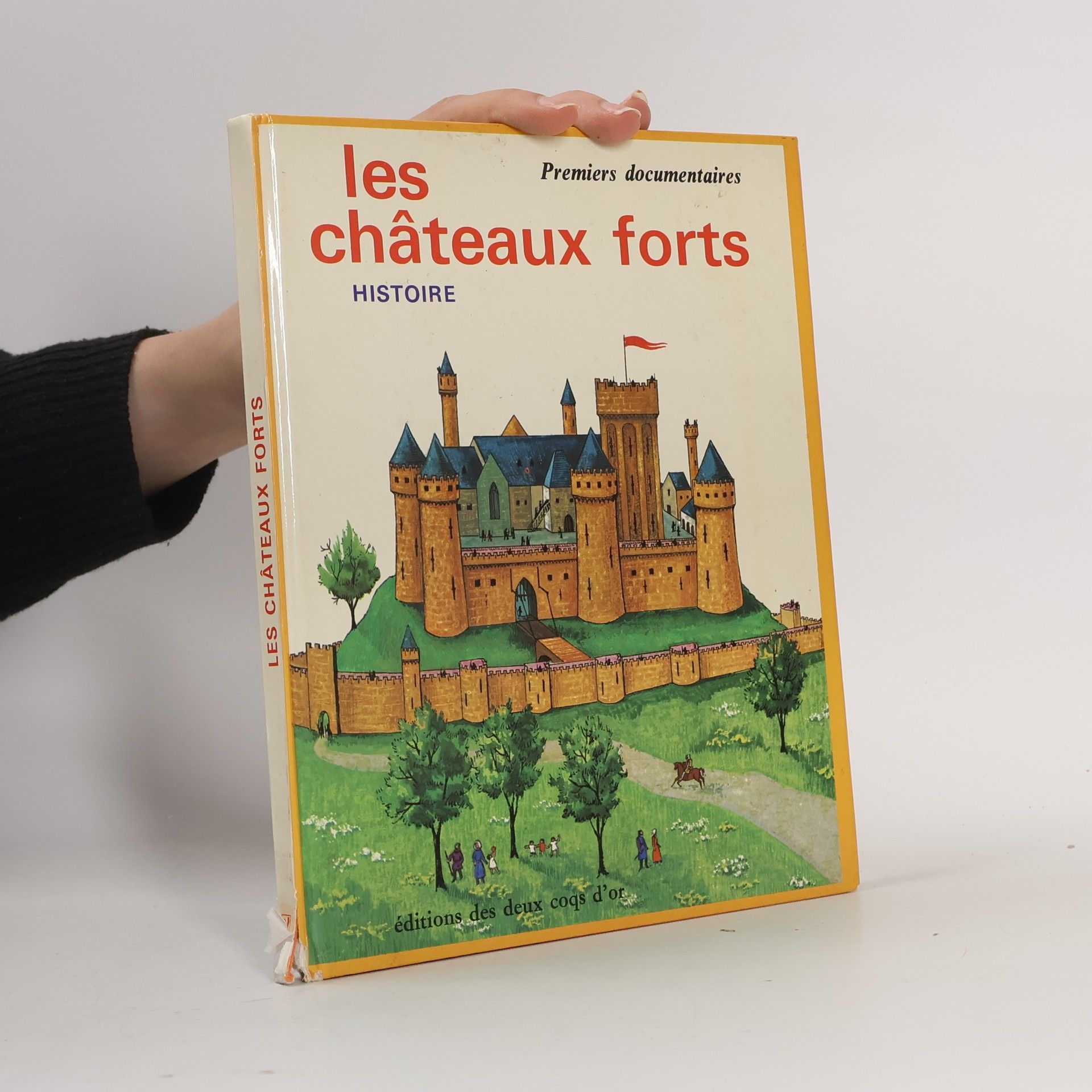 Georges Cyrille Les châteaux forts