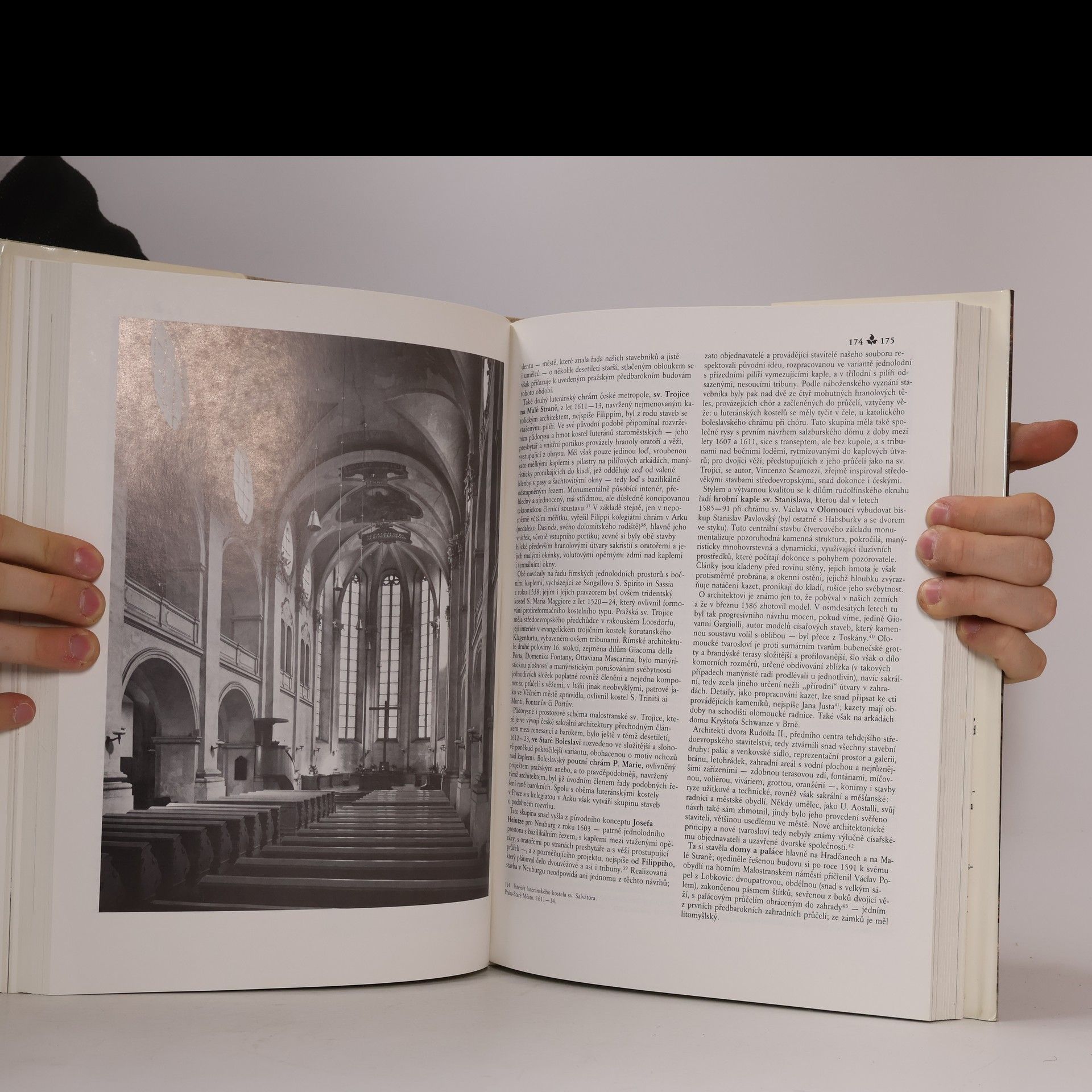 Auteurscollectief Dějiny českého výtvarného umění II/1