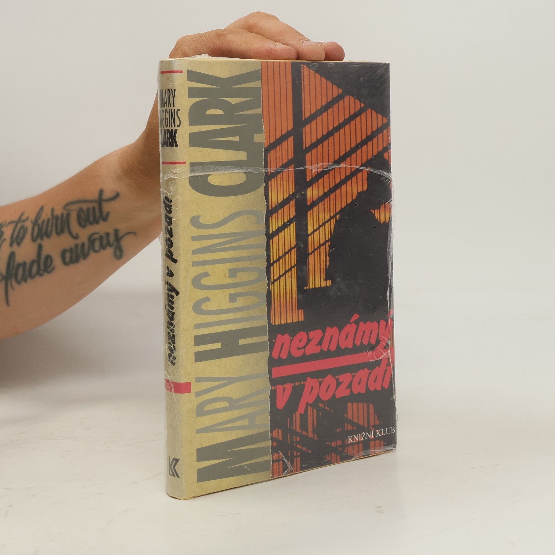 Mary Higgins Clark Neznámý v pozadí