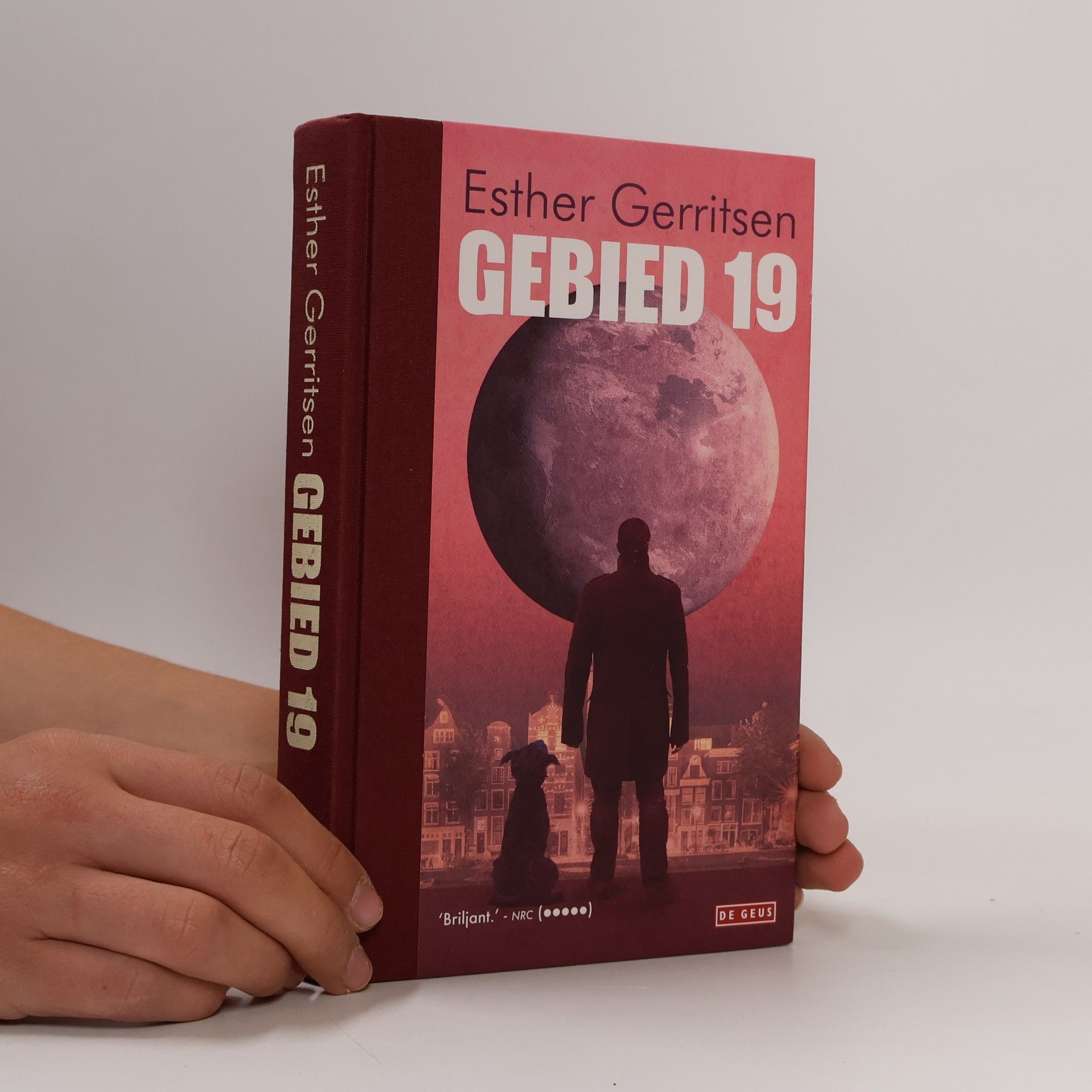 Gebied 19