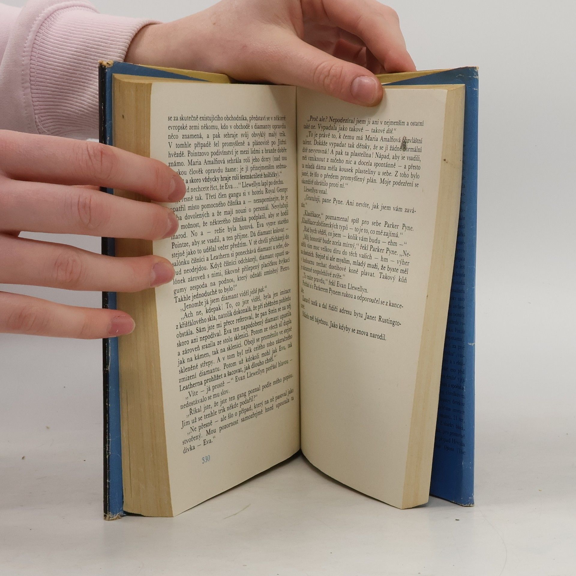 Agatha Christie Muž v mlze