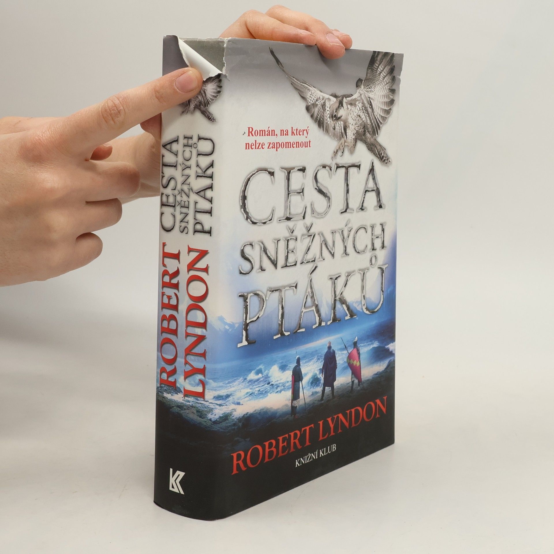 Robert Lyndon Cesta sněžných ptáků