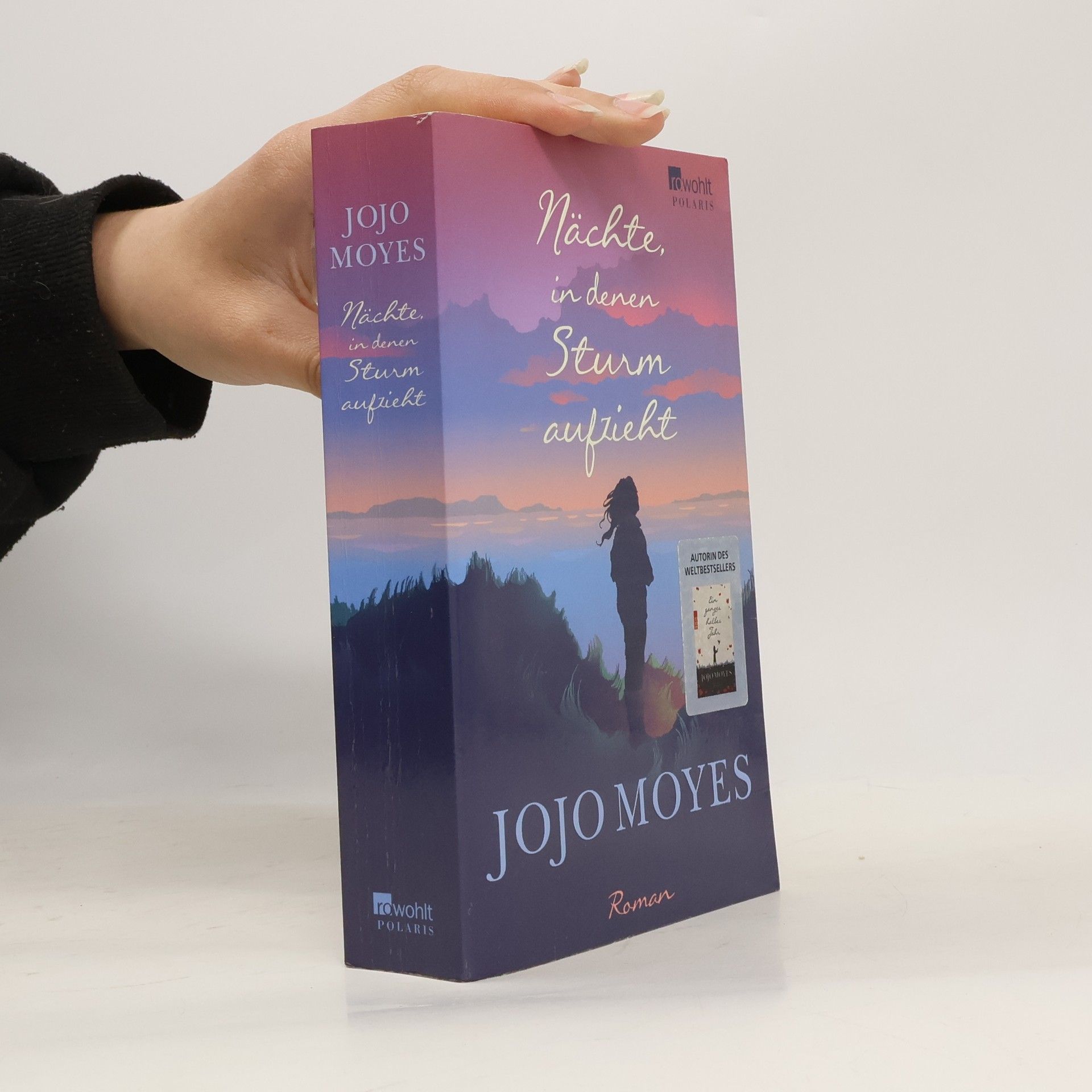Jojo Moyes Nächte in denen Sturm aufzieht