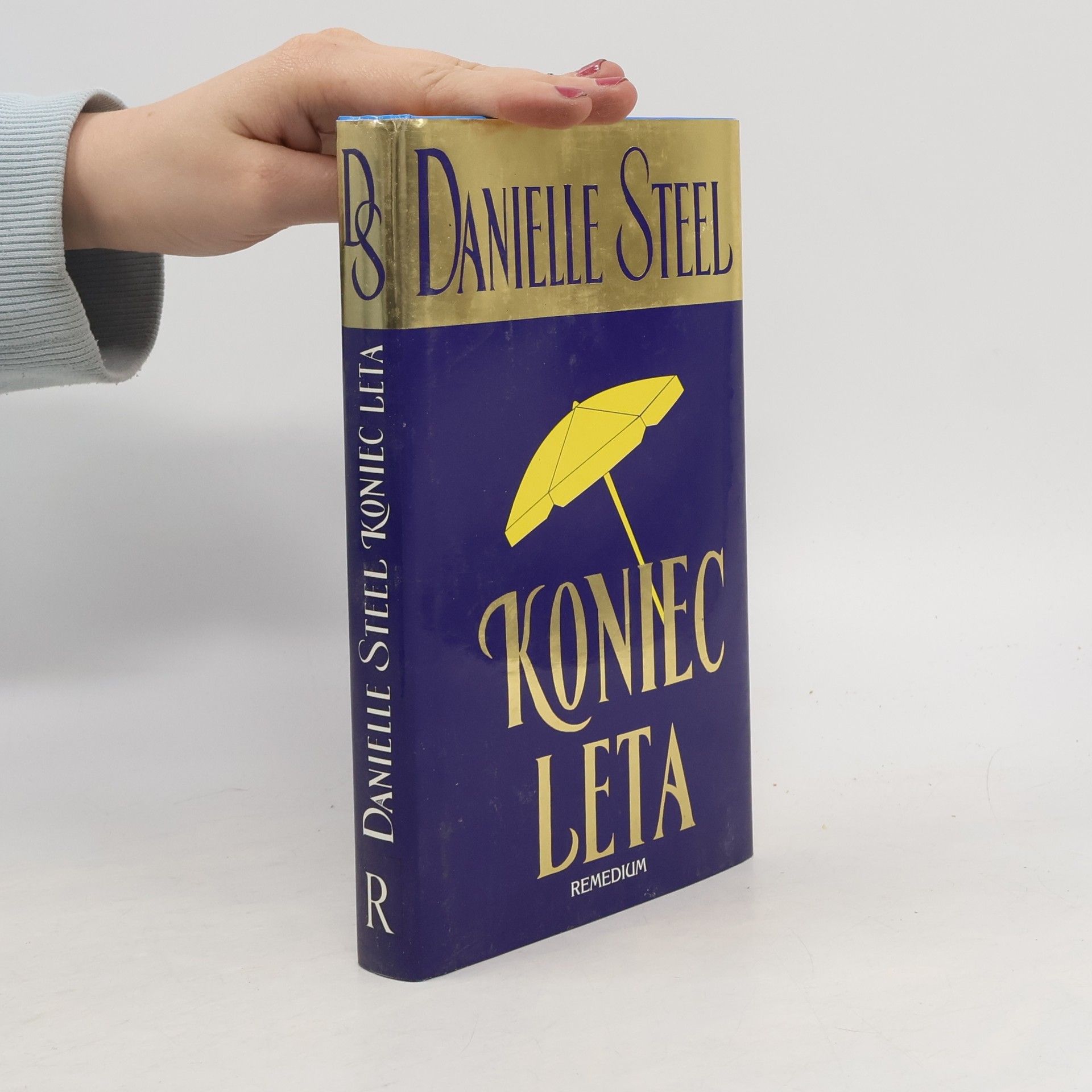 Danielle Steel Koniec leta