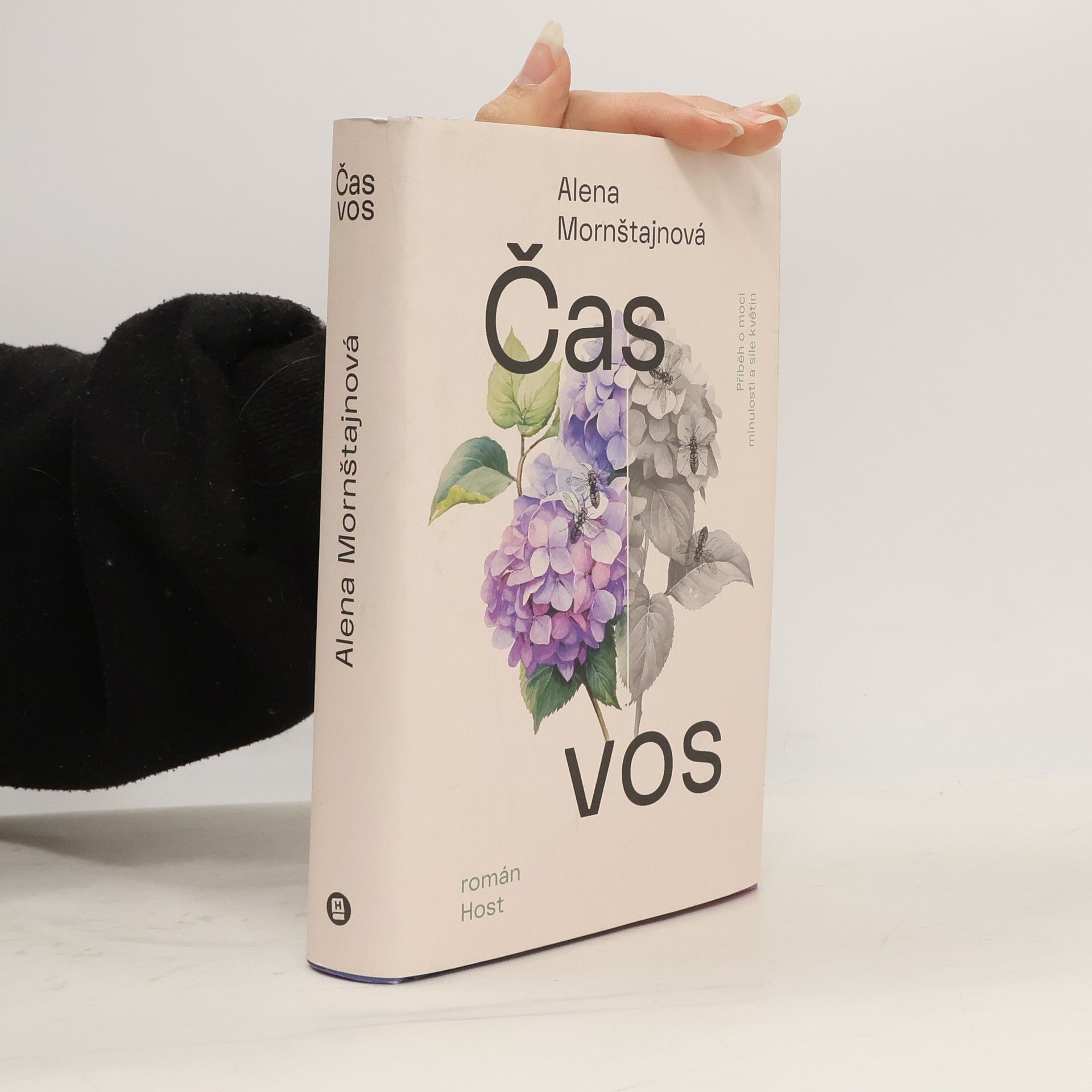 Čas vos