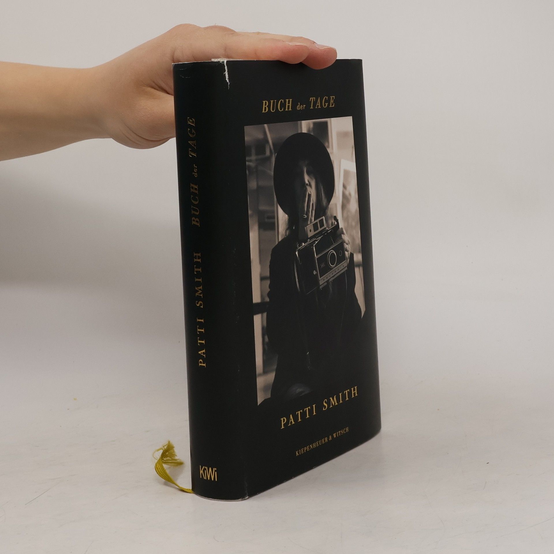 Patti Smith Buch der Tage