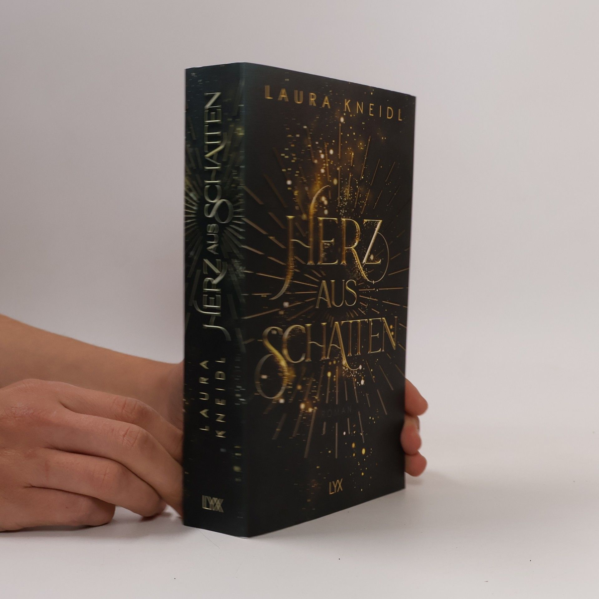Laura Kneidl Herz aus Schatten