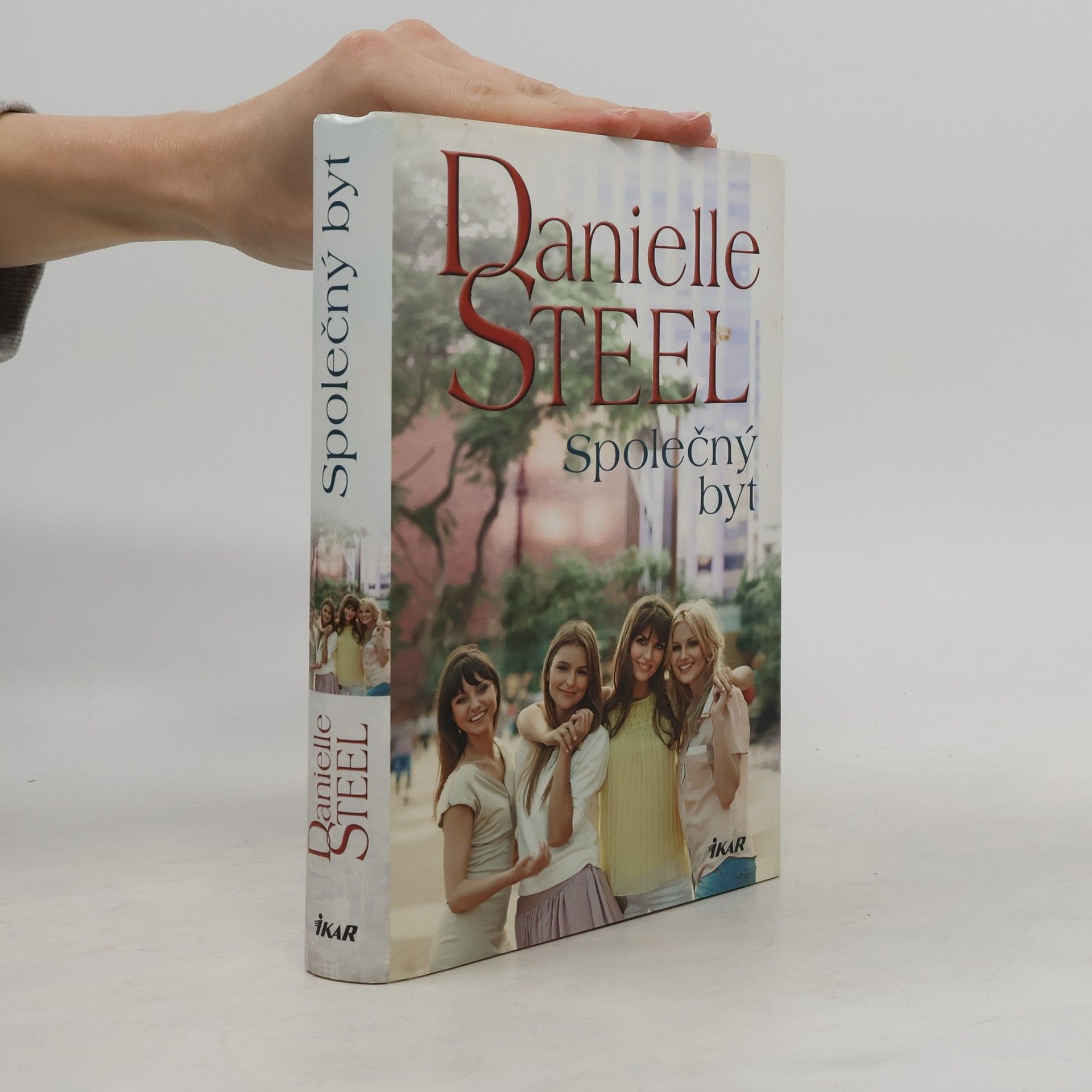 Danielle Steel Společný byt