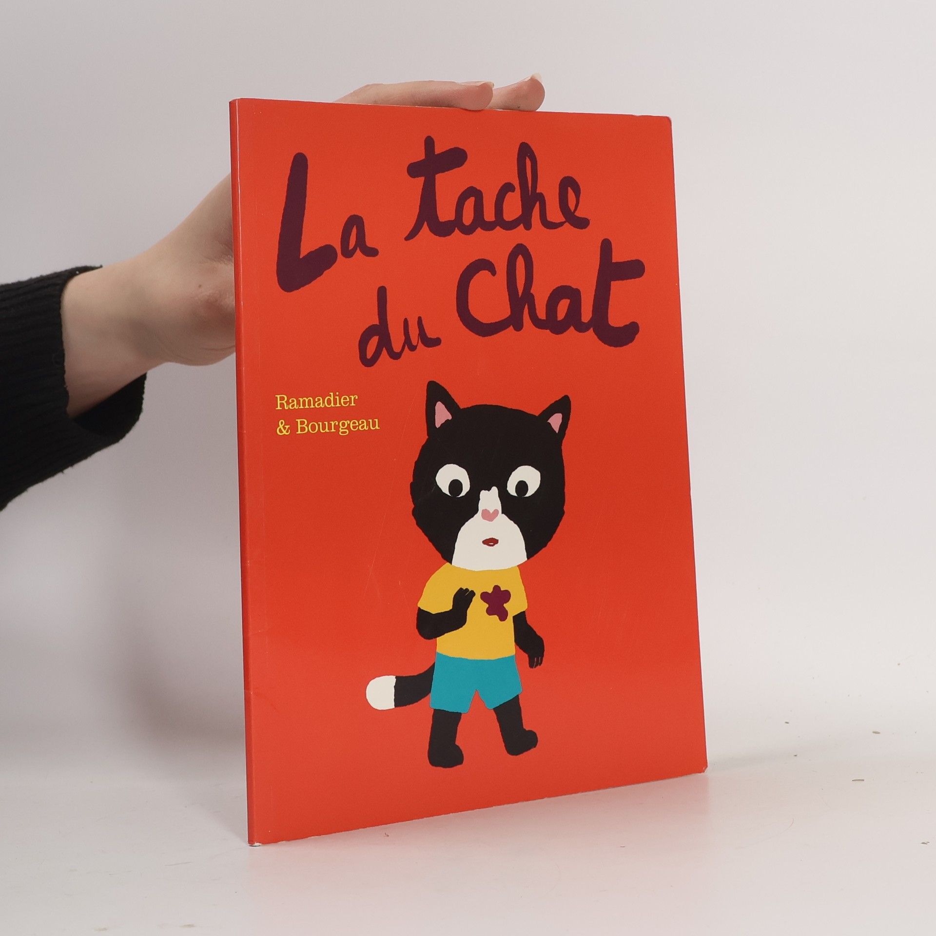Bourgeau La tache du chat