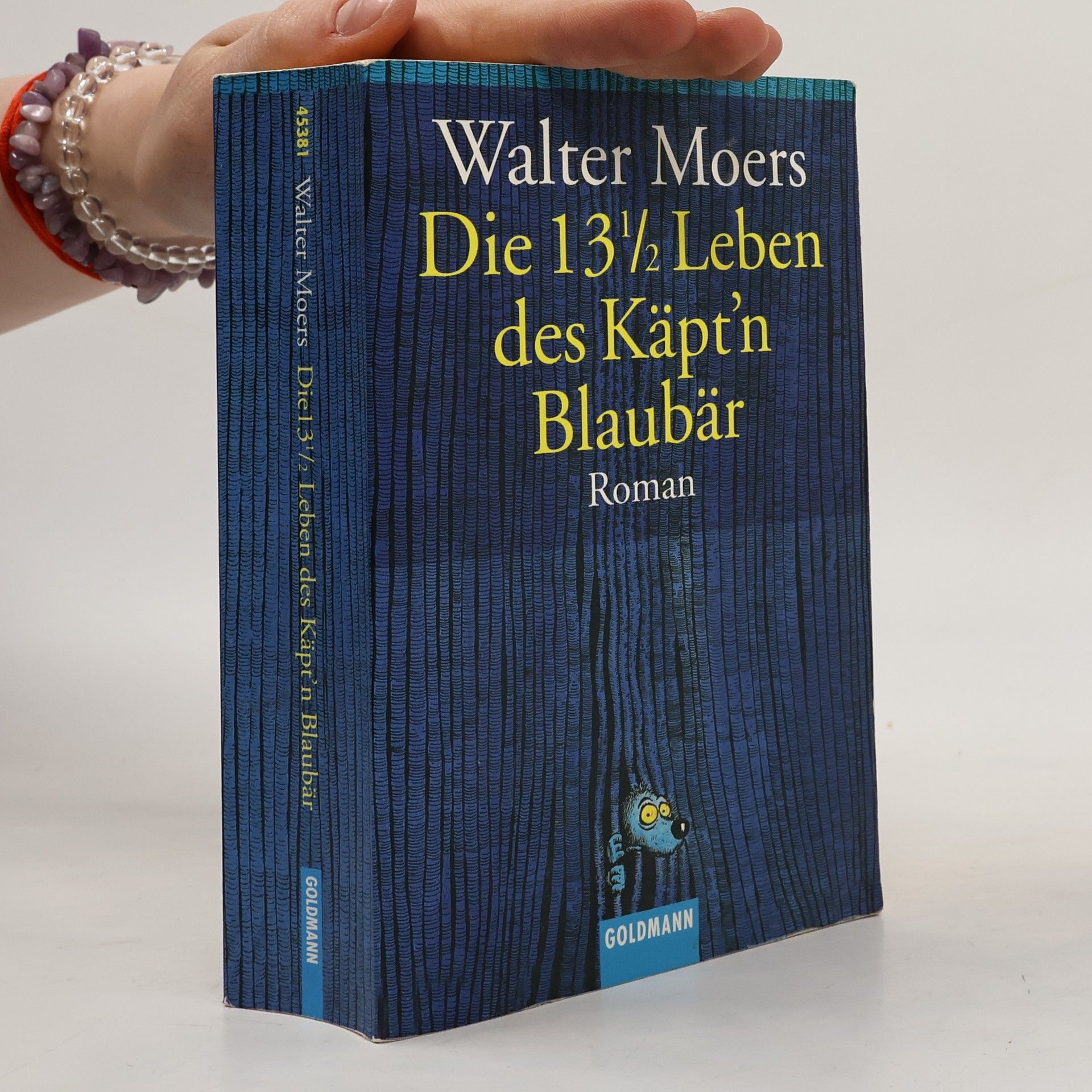 Walter Moers Die 13 1/2 Leben des Käpt'n Blaubär
