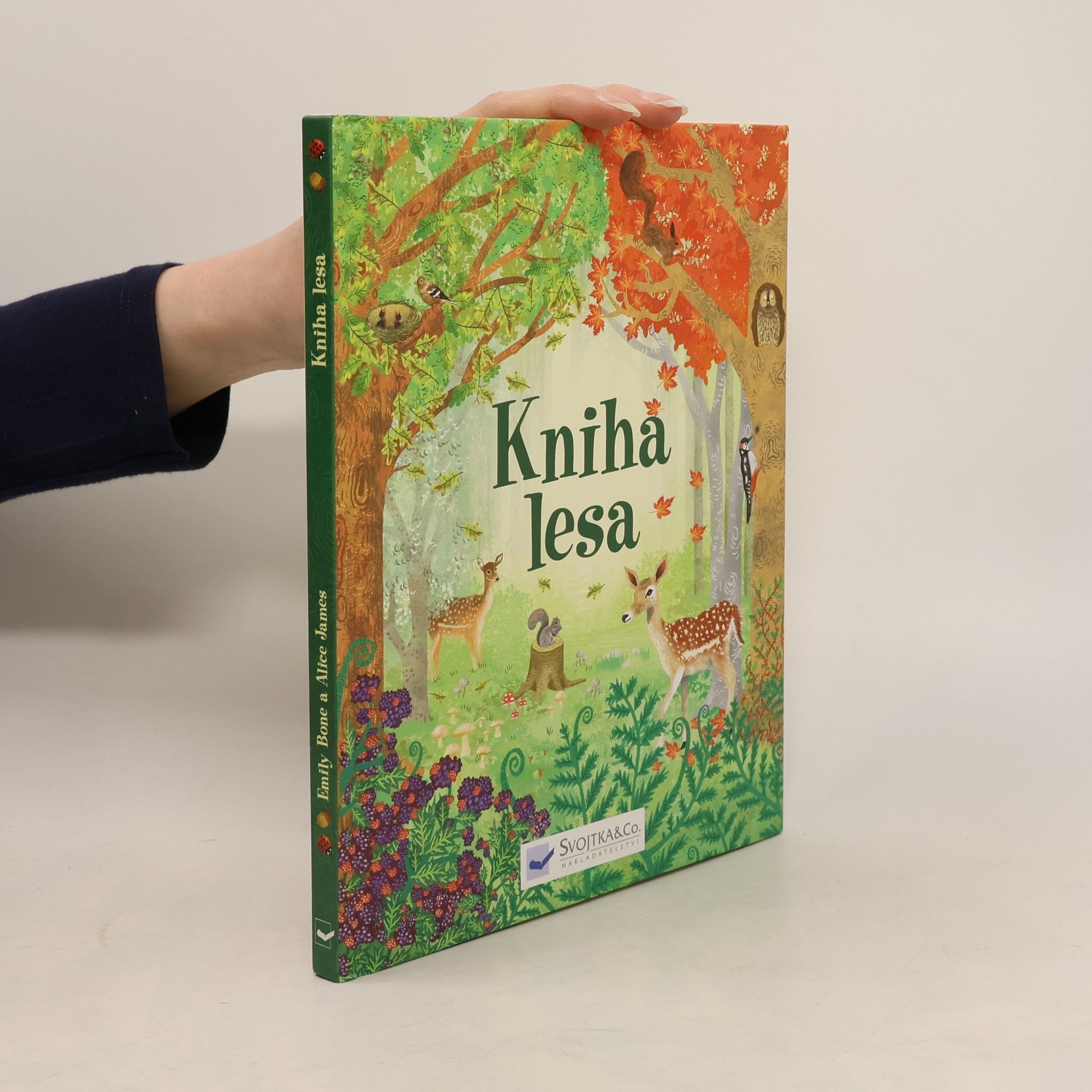 Autorenkollektiv Kniha lesa