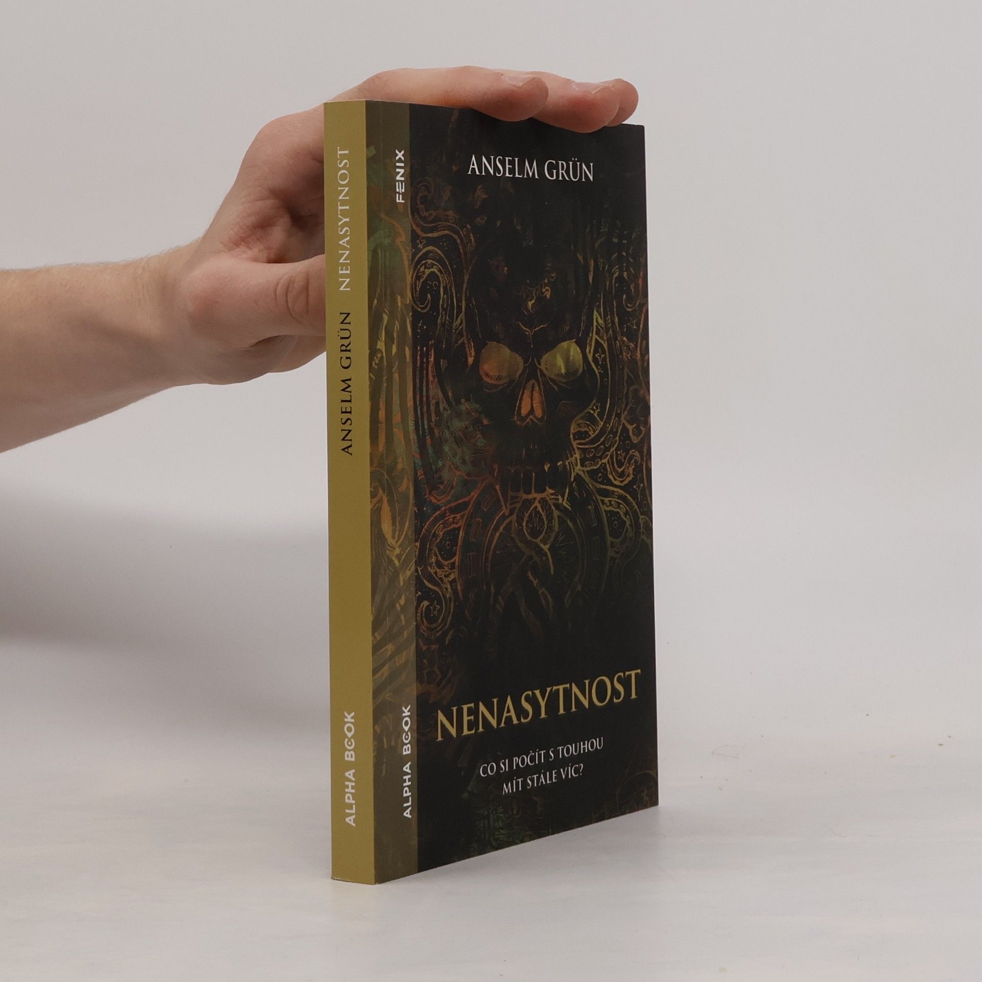 Jindra Hubková Nenasytnost: Co si počít s touhou mít stále víc?