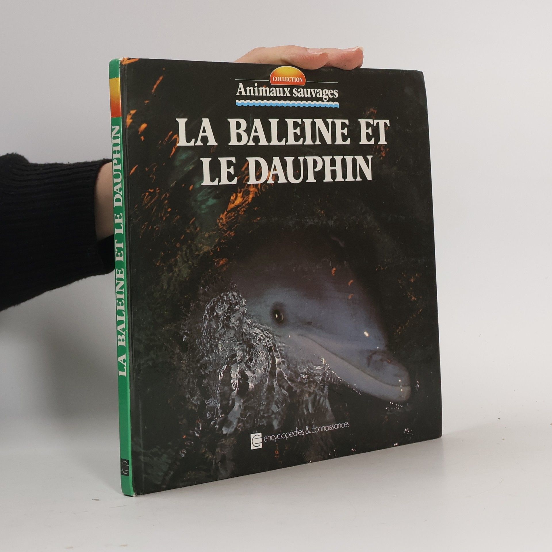Angeles Julivert La baleine et le dauphin