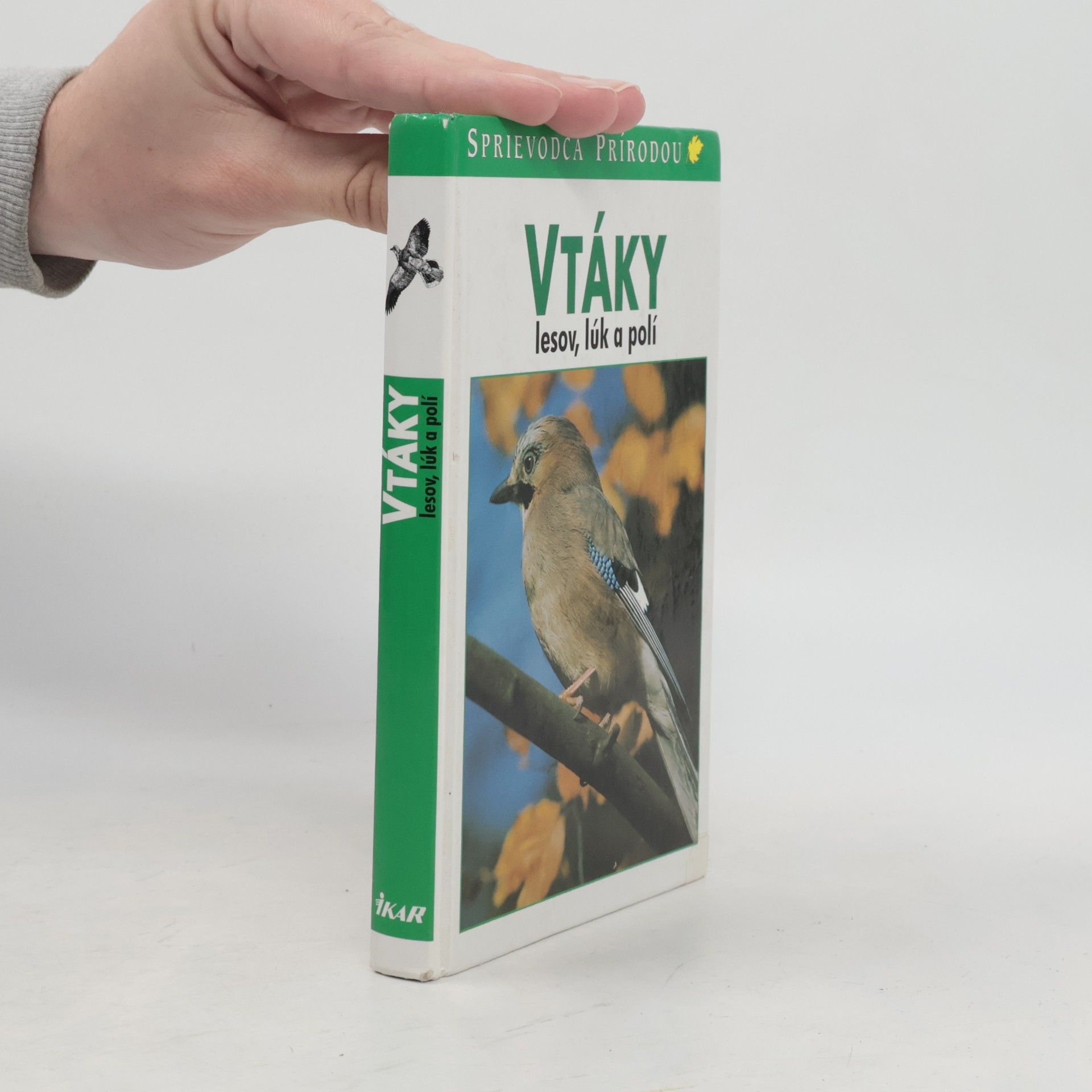 Autorenkollektiv Vtáky lesov, lúk a polí