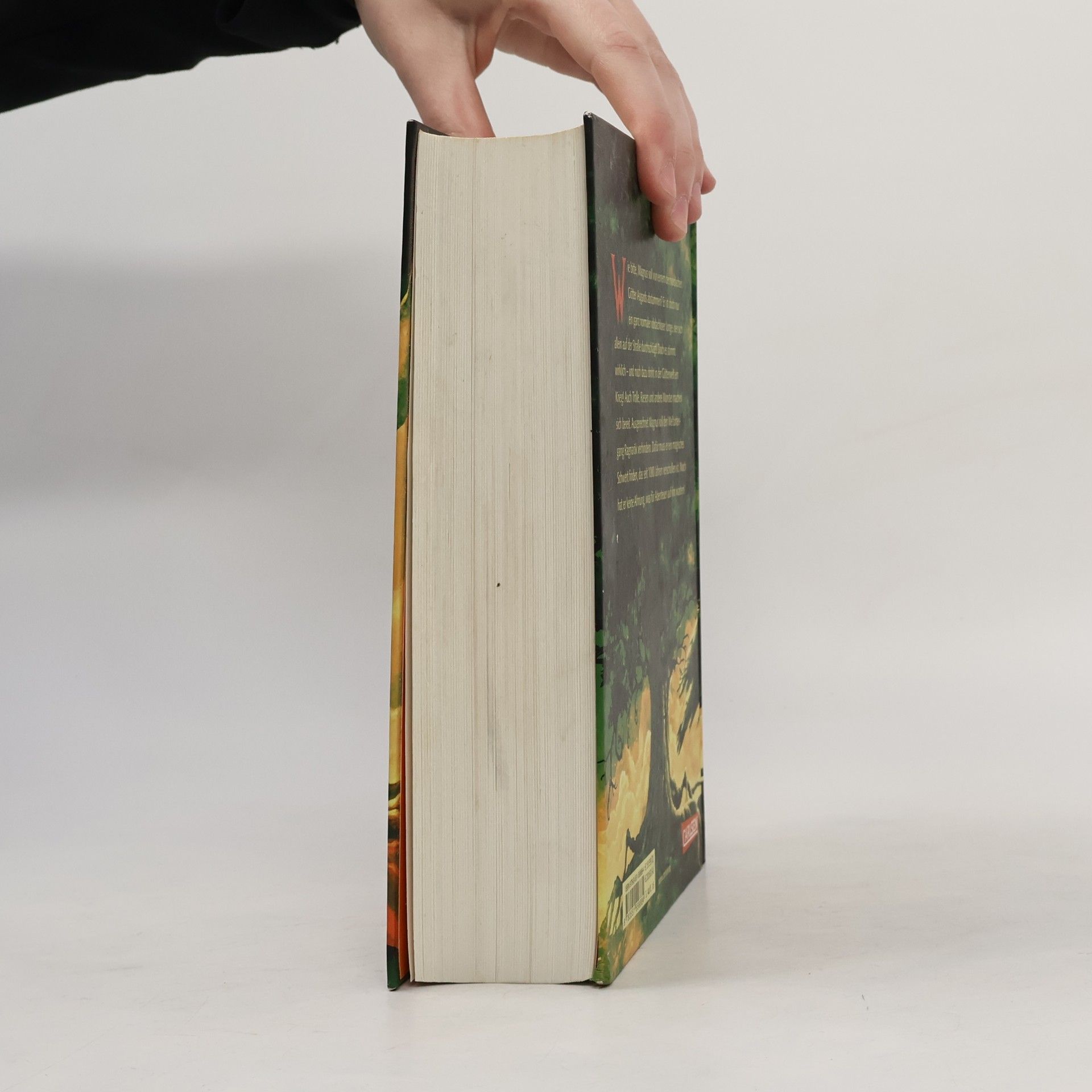 Rick Riordan Das Schwert des Sommers