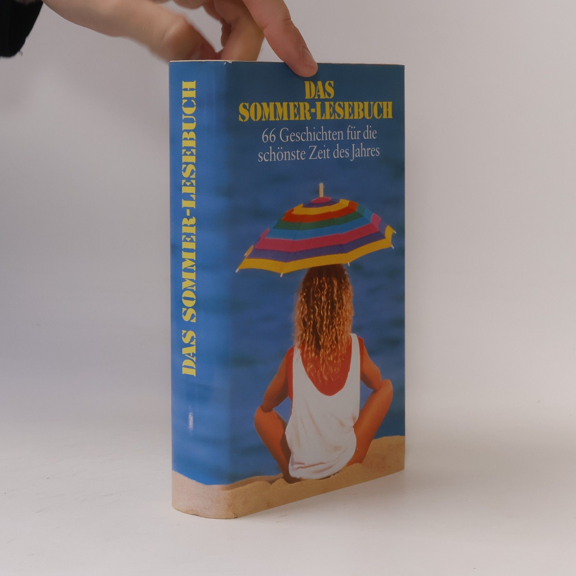 Collectif d'auteurs Das Sommer-Lesebuch