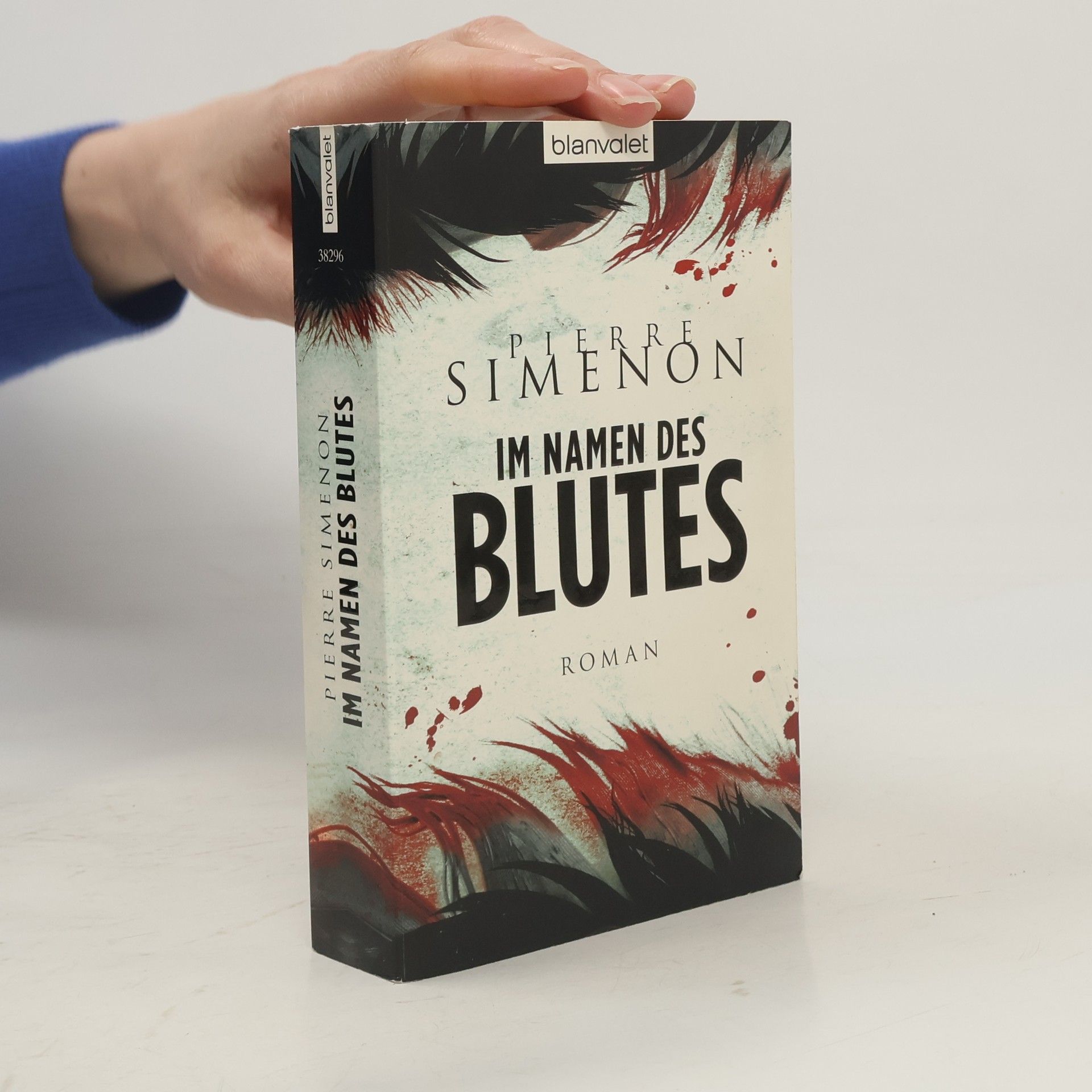 Pierre Simenon Im Namen des Blutes