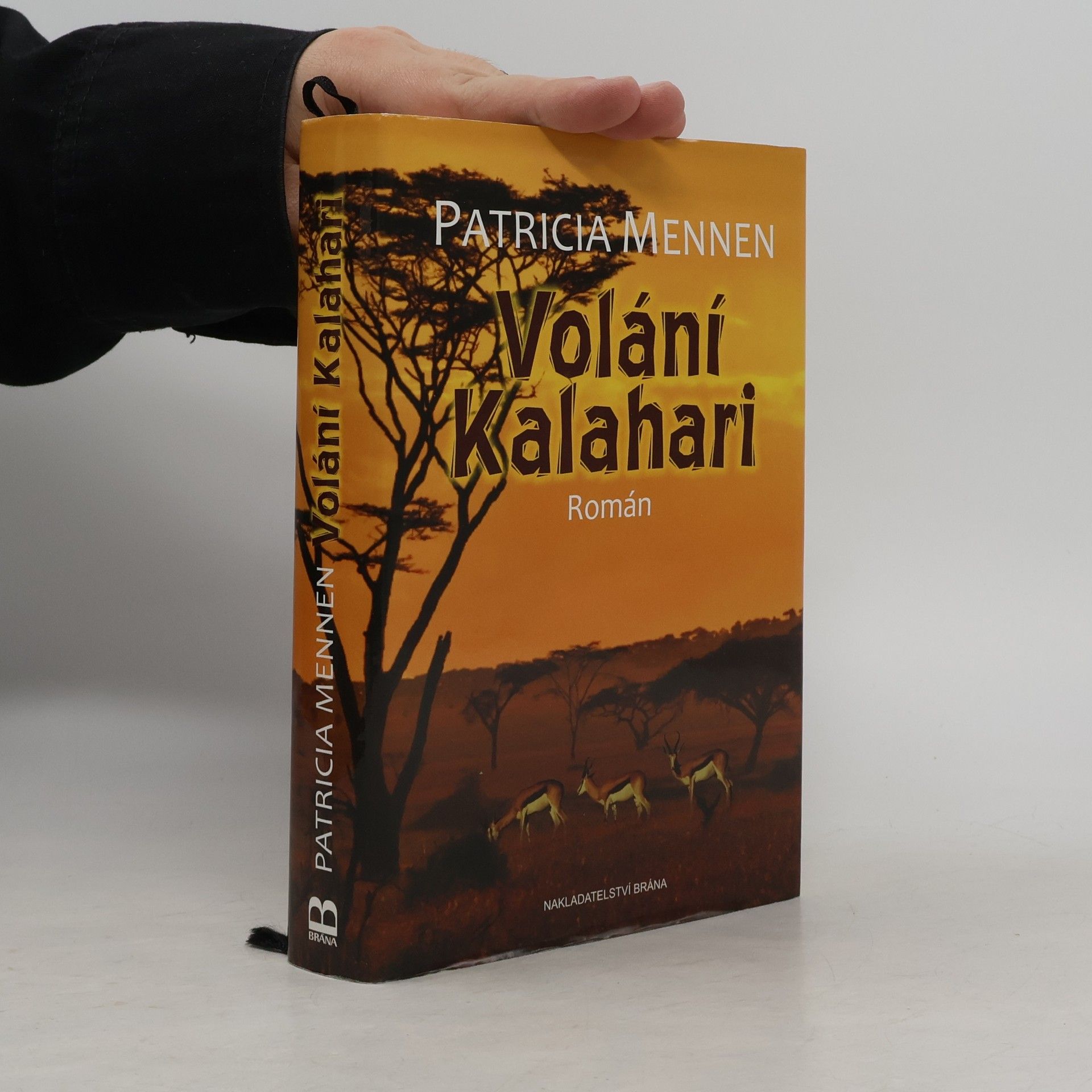 Patricia Mennen Volání Kalahari