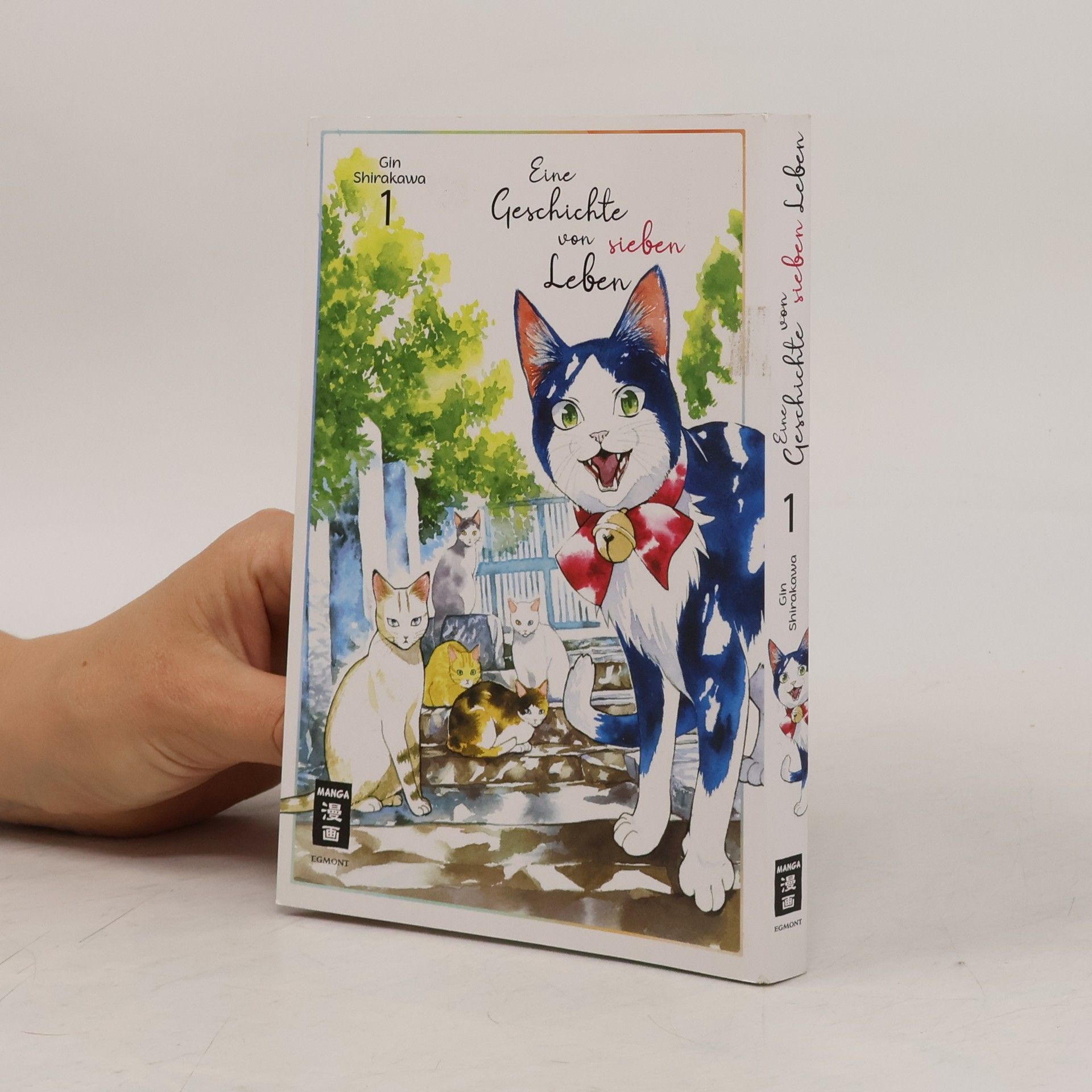 Gin Shirakawa Eine Geschichte von sieben Leben 01